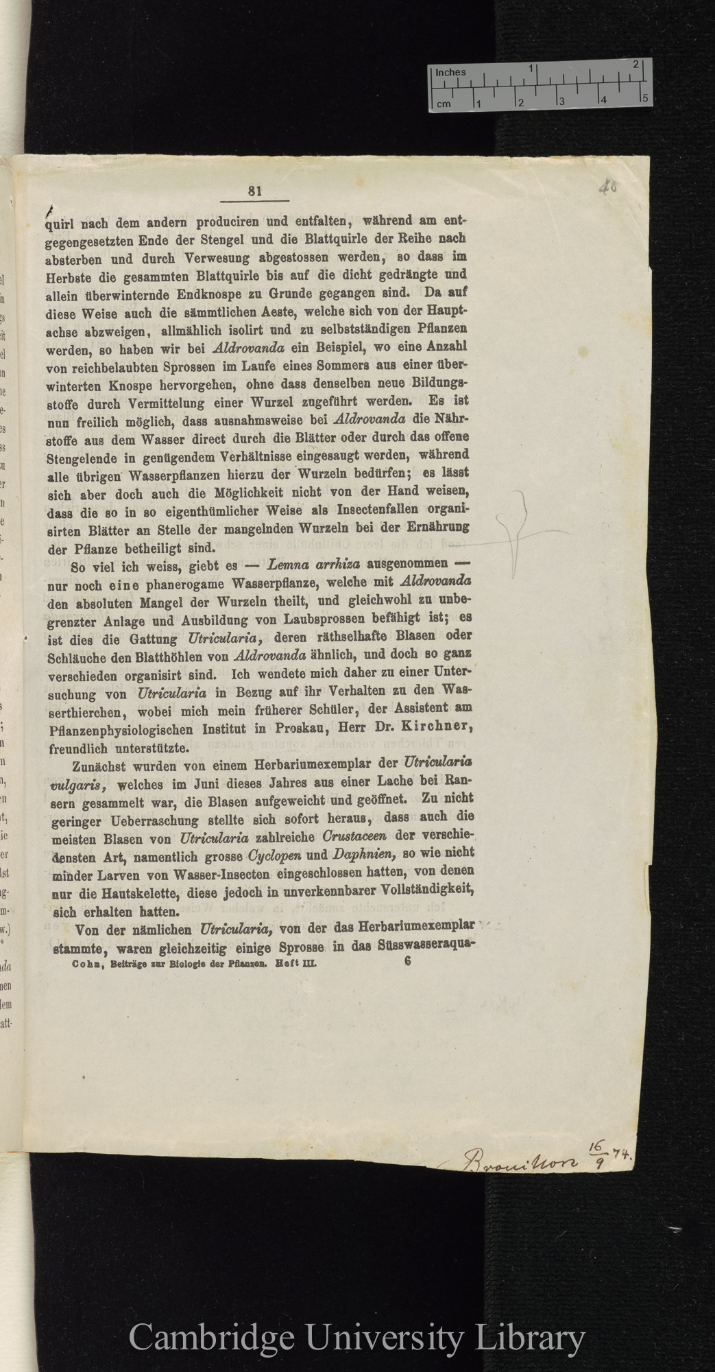 Über Function der Blasen von Aldrovanda und Utricularia &#39;Cohns Beiträge zur Biologie der Pflanzen&#39; I.iii: 81