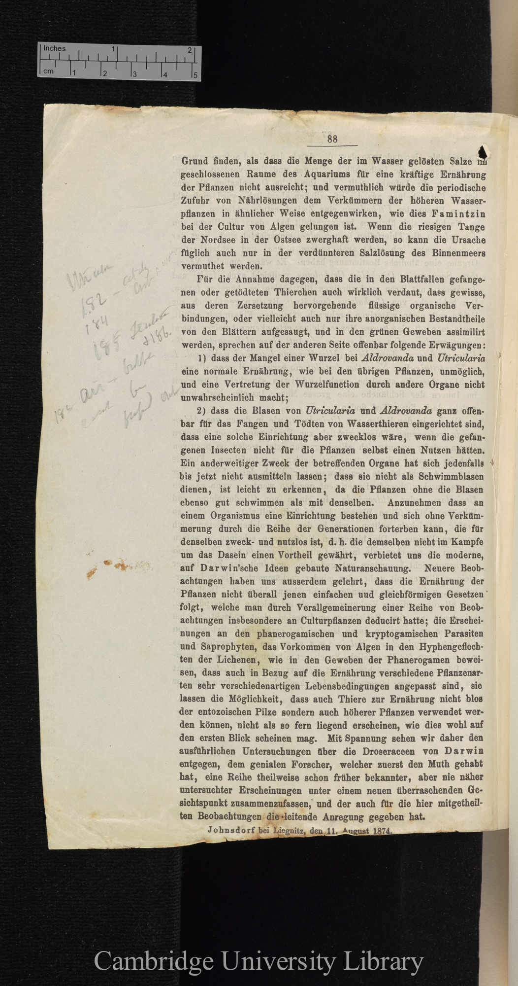 Über Function der Blasen von Aldrovanda und Utricularia &#39;Cohns Beiträge zur Biologie der Pflanzen&#39; I.iii: 88