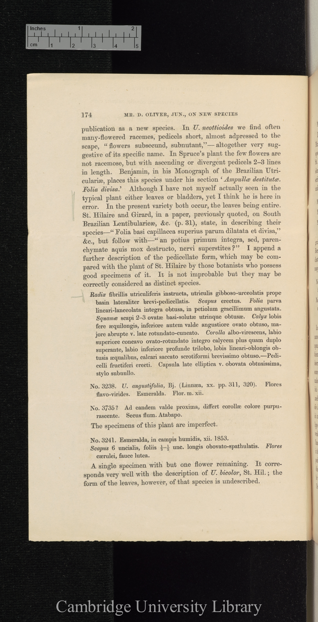 Descriptions of new species of Utricularia from South America, with notes upon the genera Polypompholyx and Akentra &#39;Linnean Society (Journal of Proceedings)&#39; 4: 174