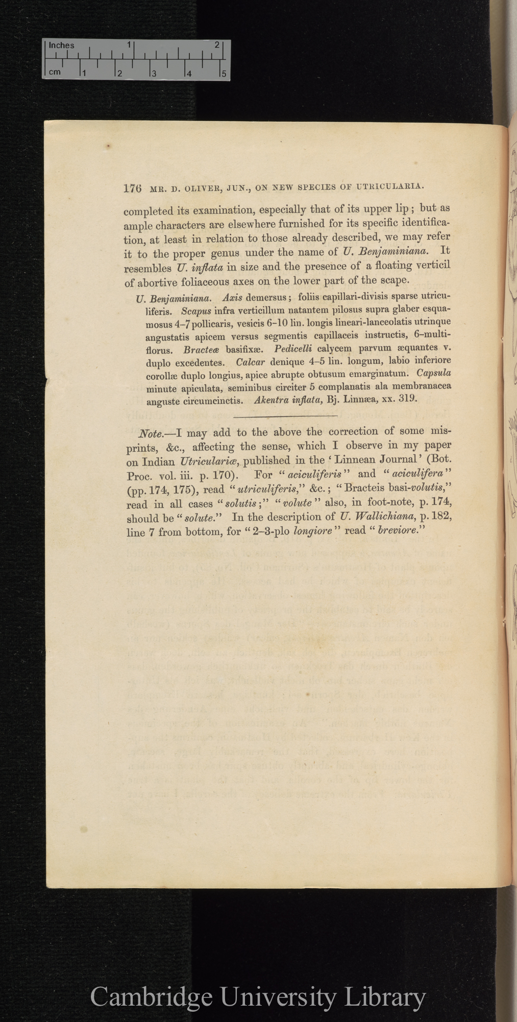 Descriptions of new species of Utricularia from South America, with notes upon the genera Polypompholyx and Akentra &#39;Linnean Society (Journal of Proceedings)&#39; 4: 176