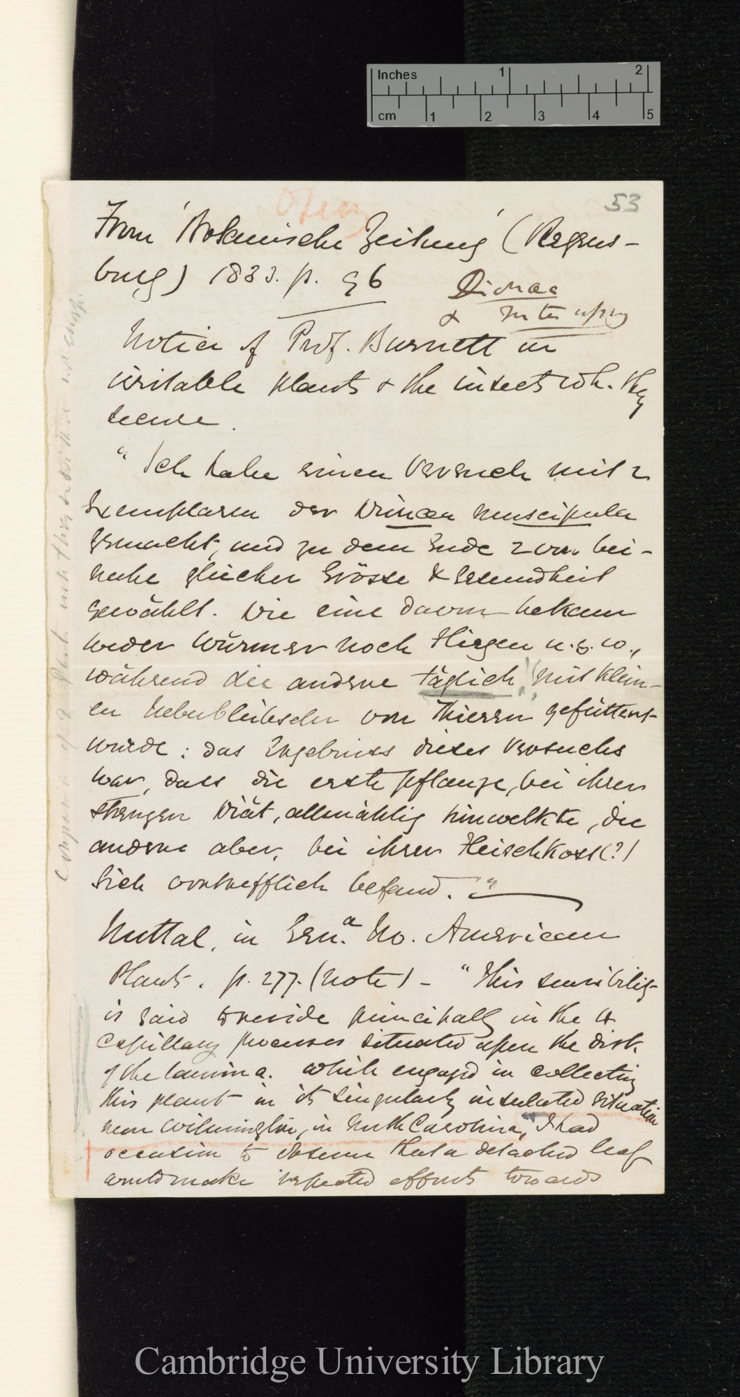 [Daniel Oliver] to Charles Robert Darwin