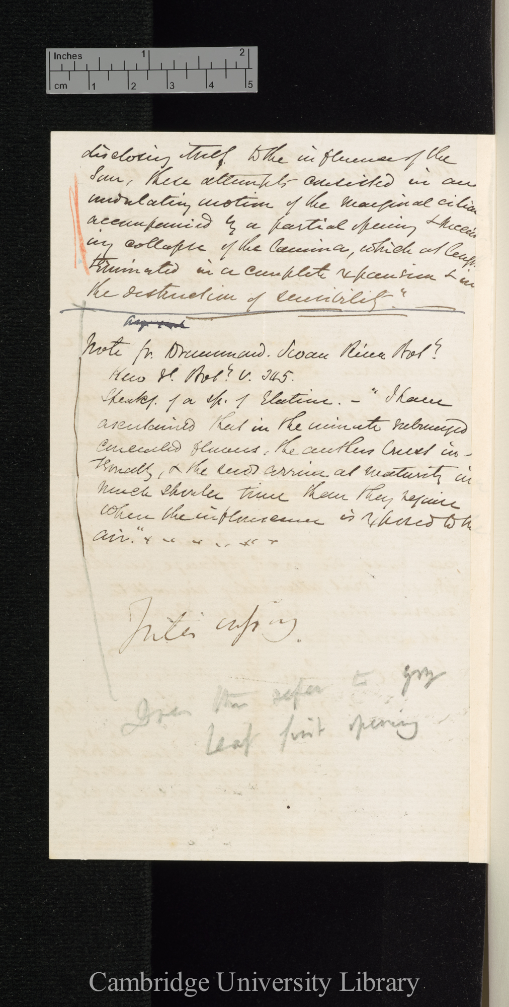 [Daniel Oliver] to Charles Robert Darwin