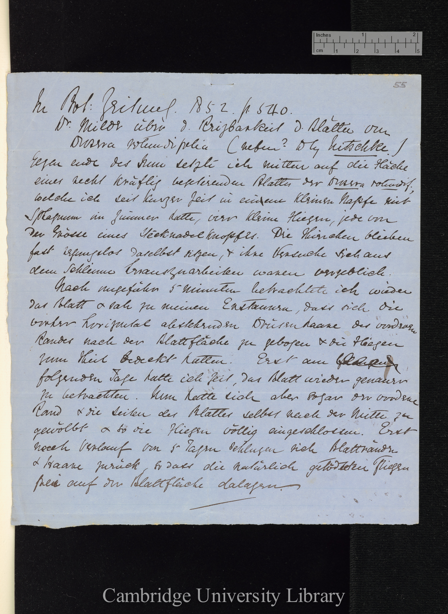 Letter from [Daniel Oliver] to Charles Robert Darwin; written at [place unstated]; memo