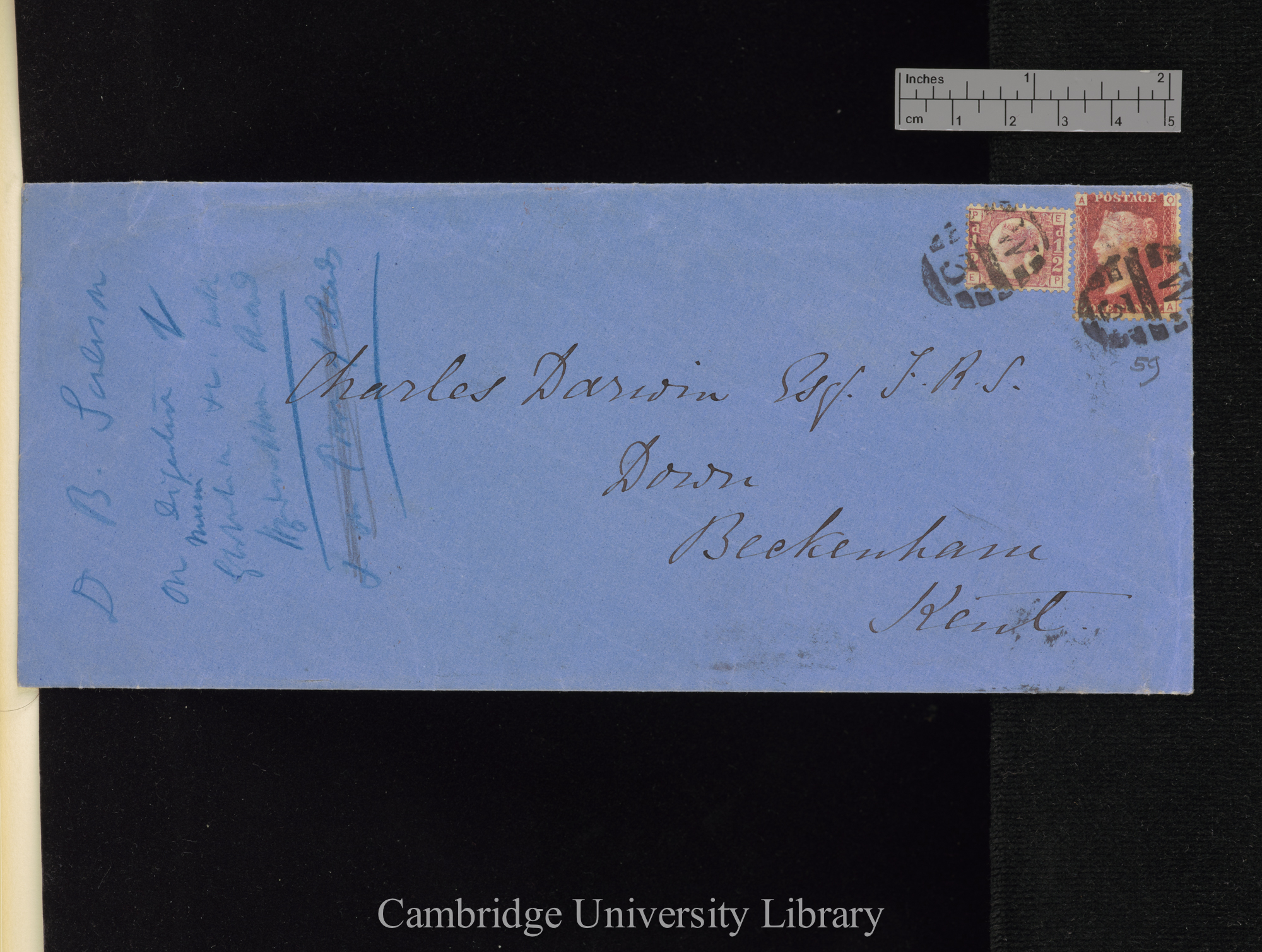 Sir John Scott Burdon Sanderson to Charles Robert Darwin [envelope]