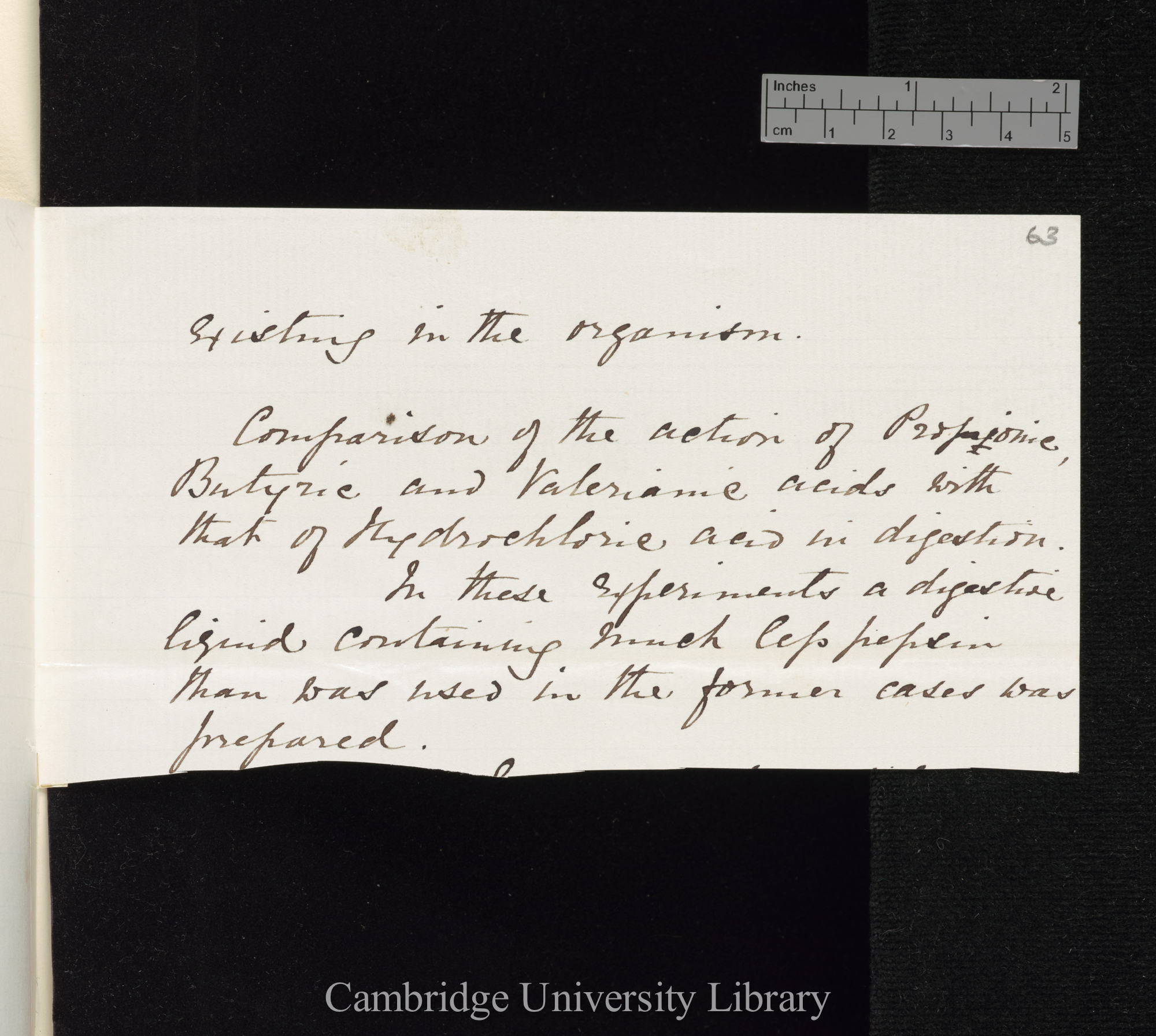 Sir John Scott Burdon Sanderson to Charles Robert Darwin