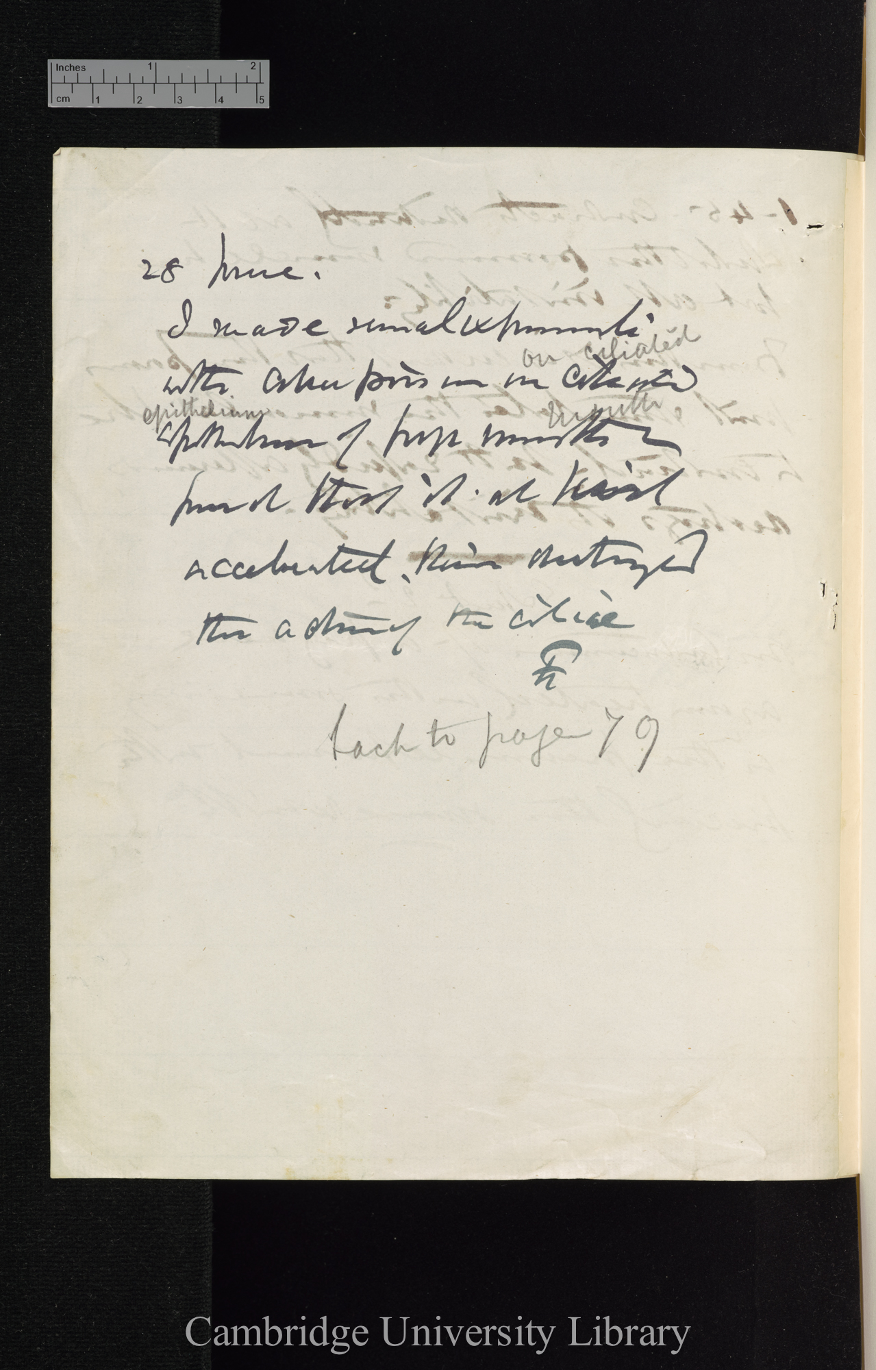 Sir Joseph Fayrer to Charles Robert Darwin