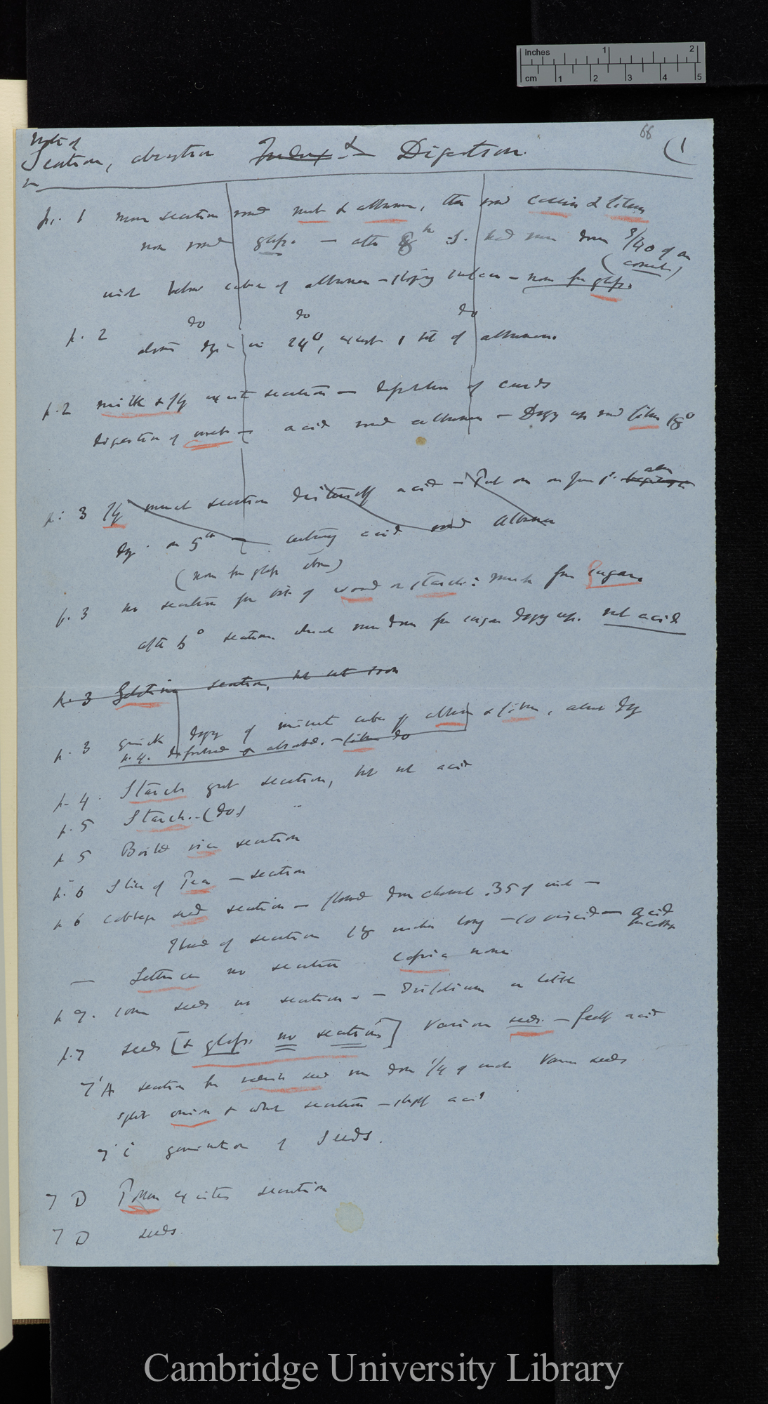 Notes of Secretion, abstraction &amp; Digestion [summary set of notes numbered pp 1-7, 7A-7D, 8-24]