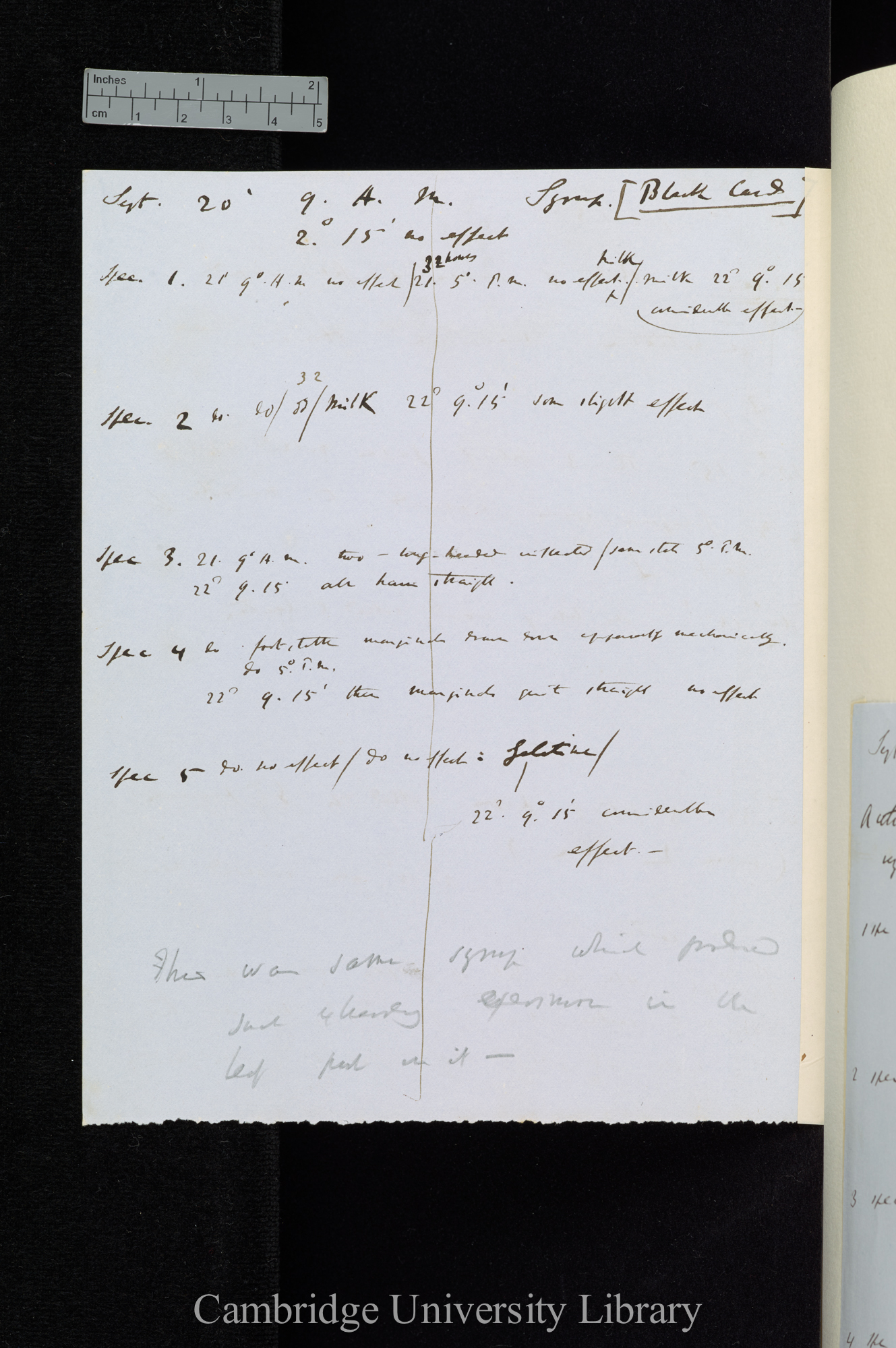 Straight wires / Bits of Paper &amp; fir-wood on extreme marginal Hairs [application also of syrup, milk, gelatine, acetic acid]