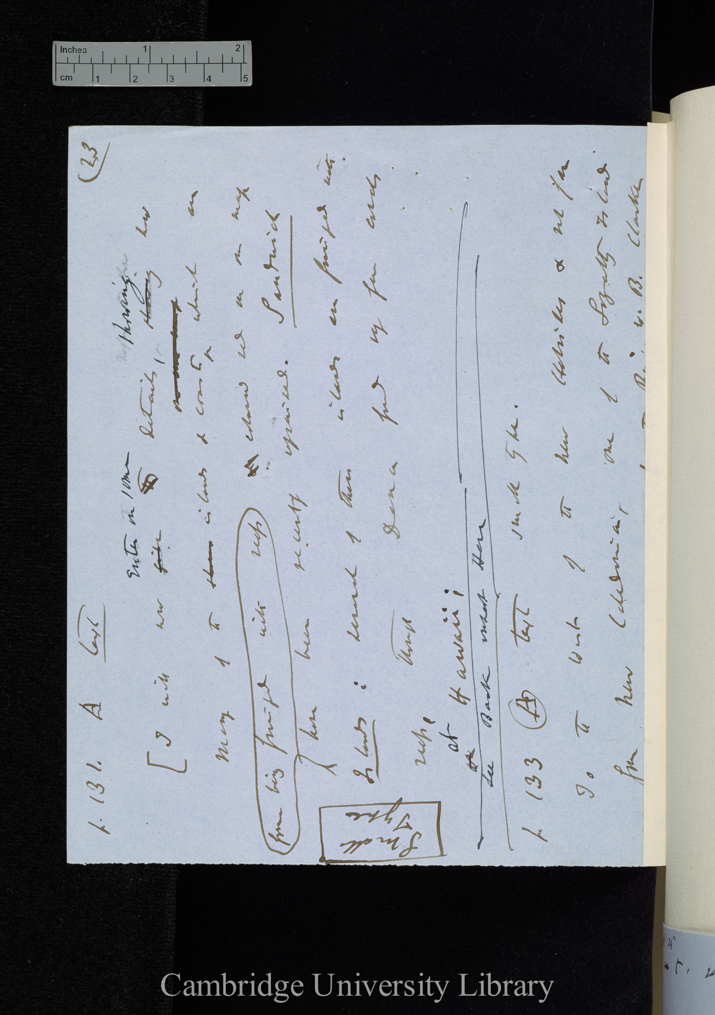 of addenda to &#39;Coral reefs&#39; 2nd edn p 131A [published pp 173, 176]