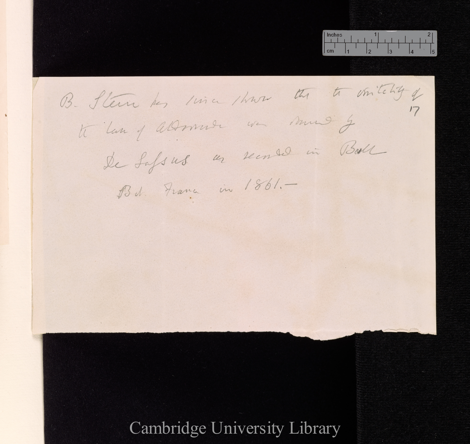 B Stein has since shown that the irritability of the leaves of Aldrovanda was observed by De Lassus as recorded in Bull Bot Soc France in 1861