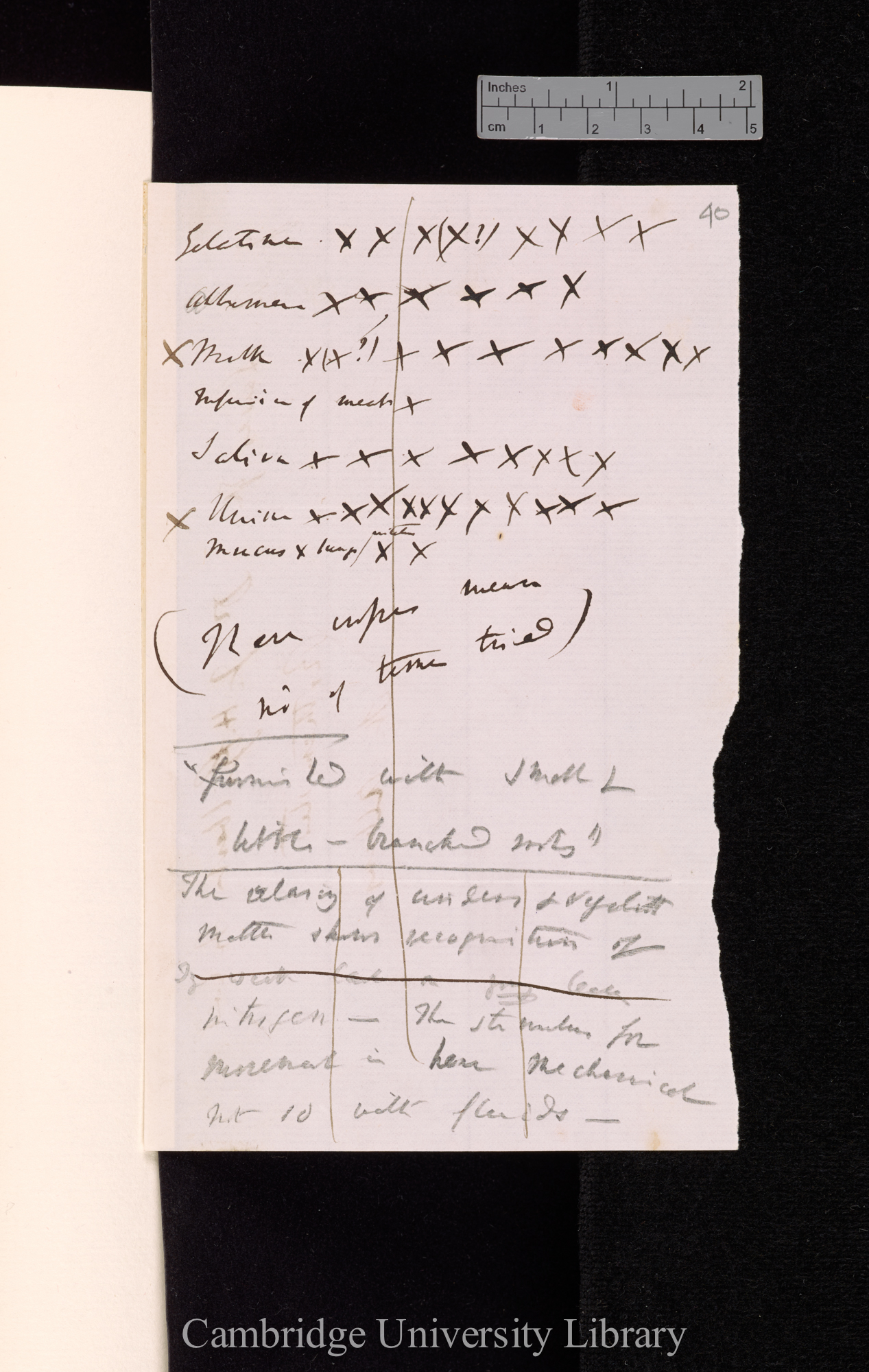 gelatine / albumen / milk / meat / saliva / urine / mucus / [No of] crosses mean no of times tried