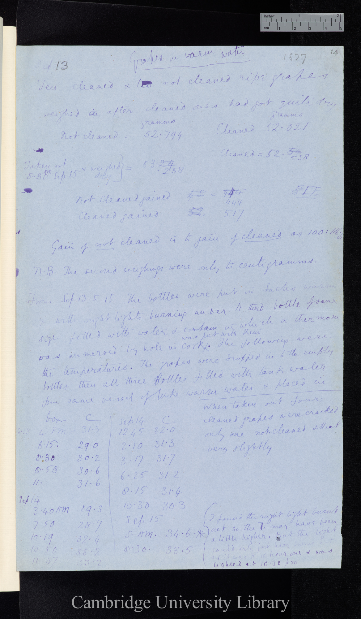 Grapes in warm water / Ten cleaned &amp; ten not cleaned ripe grapes weighed after cleaned ones had got quite dry [measurement of relative weight gain]