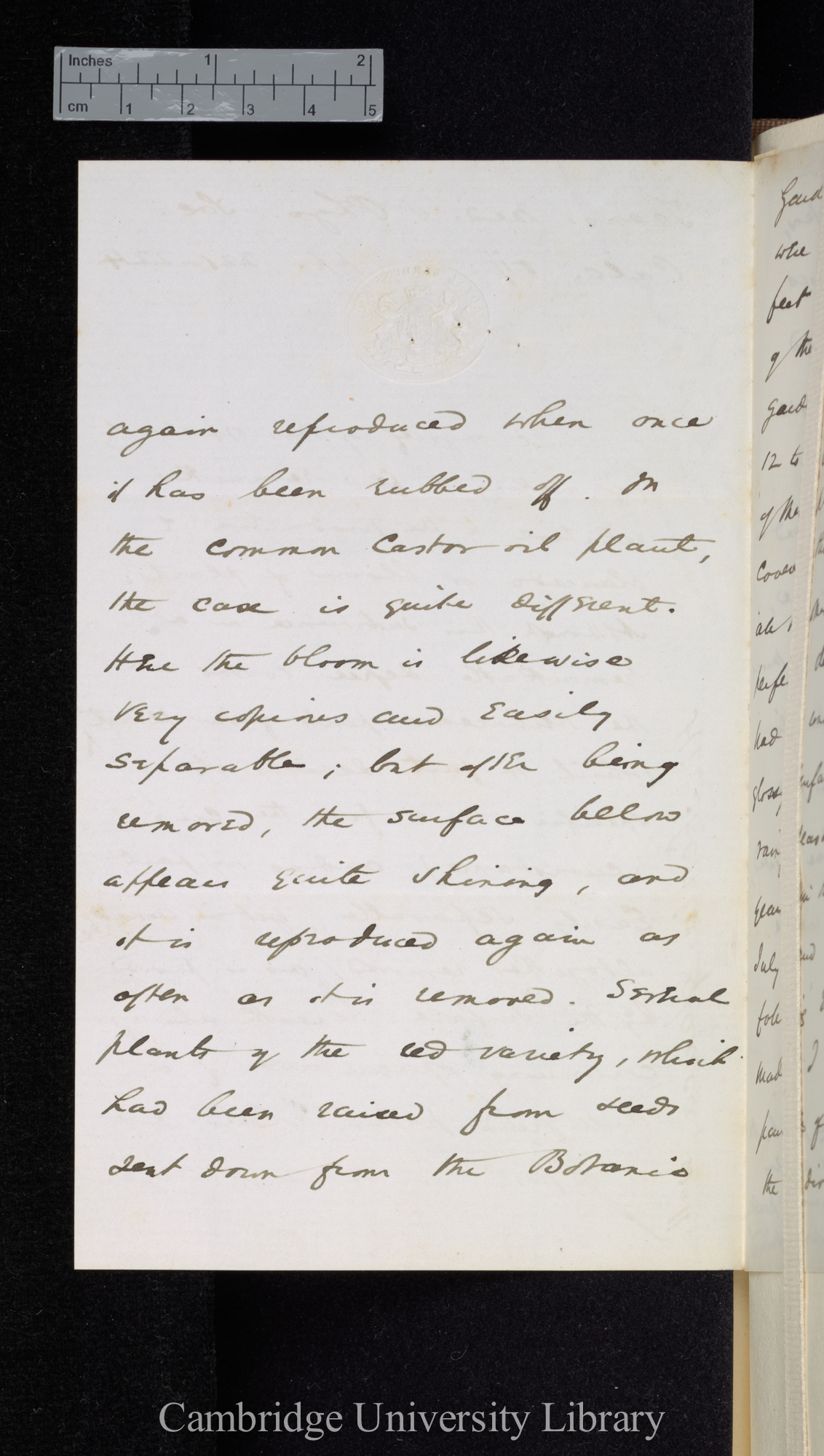 [Sir William Turner Thiselton-Dyer] to Charles Robert Darwin