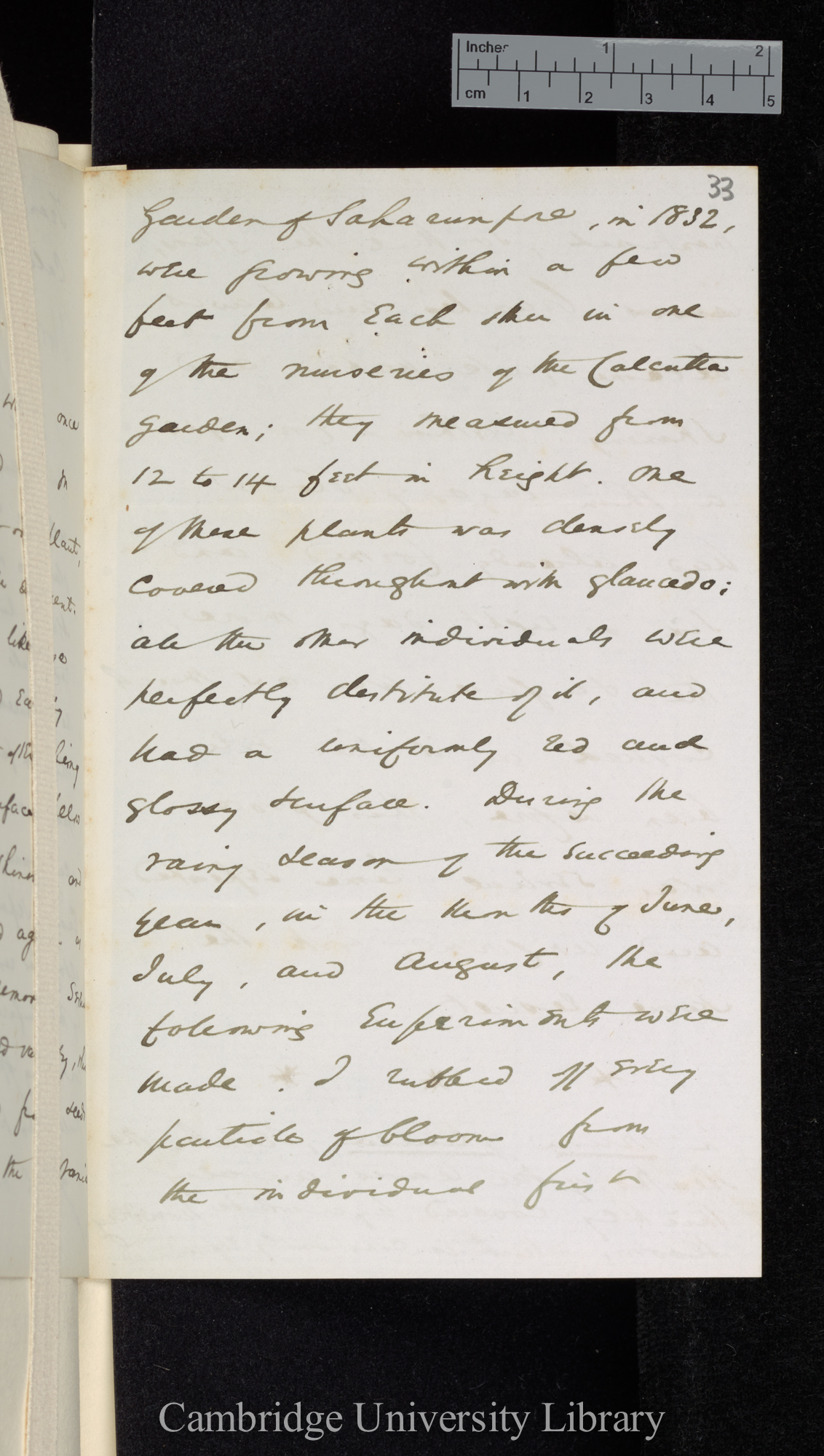 [Sir William Turner Thiselton-Dyer] to Charles Robert Darwin