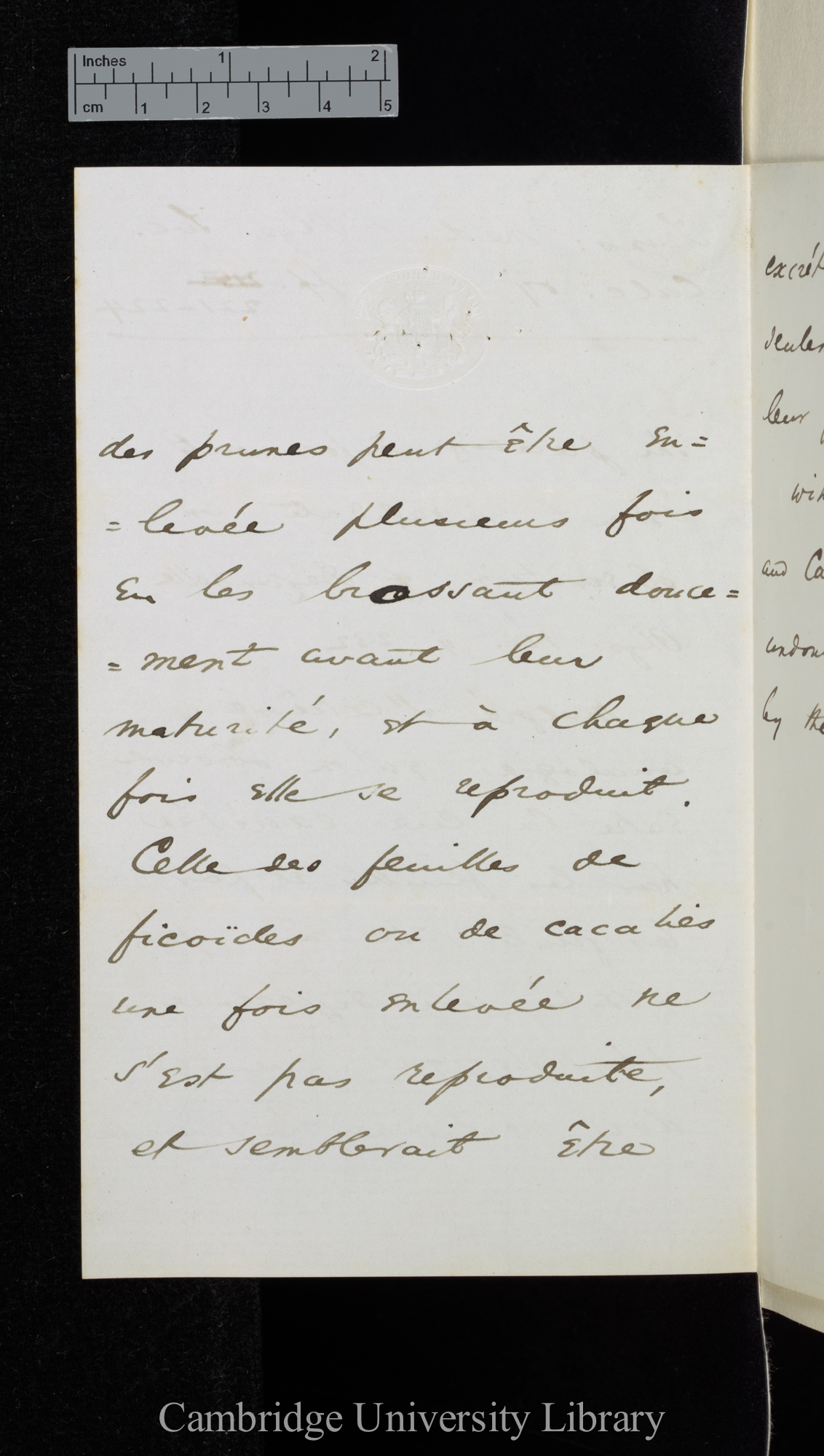 [Sir William Turner Thiselton-Dyer] to Charles Robert Darwin