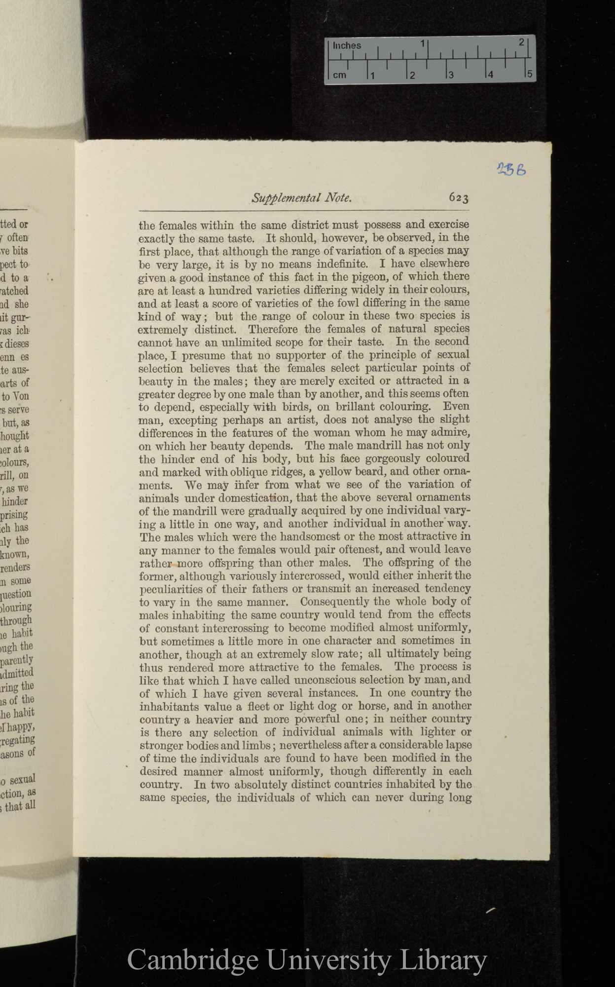 Supplemental note [to &#39;Descent&#39;]: 620-624 [final proofs]