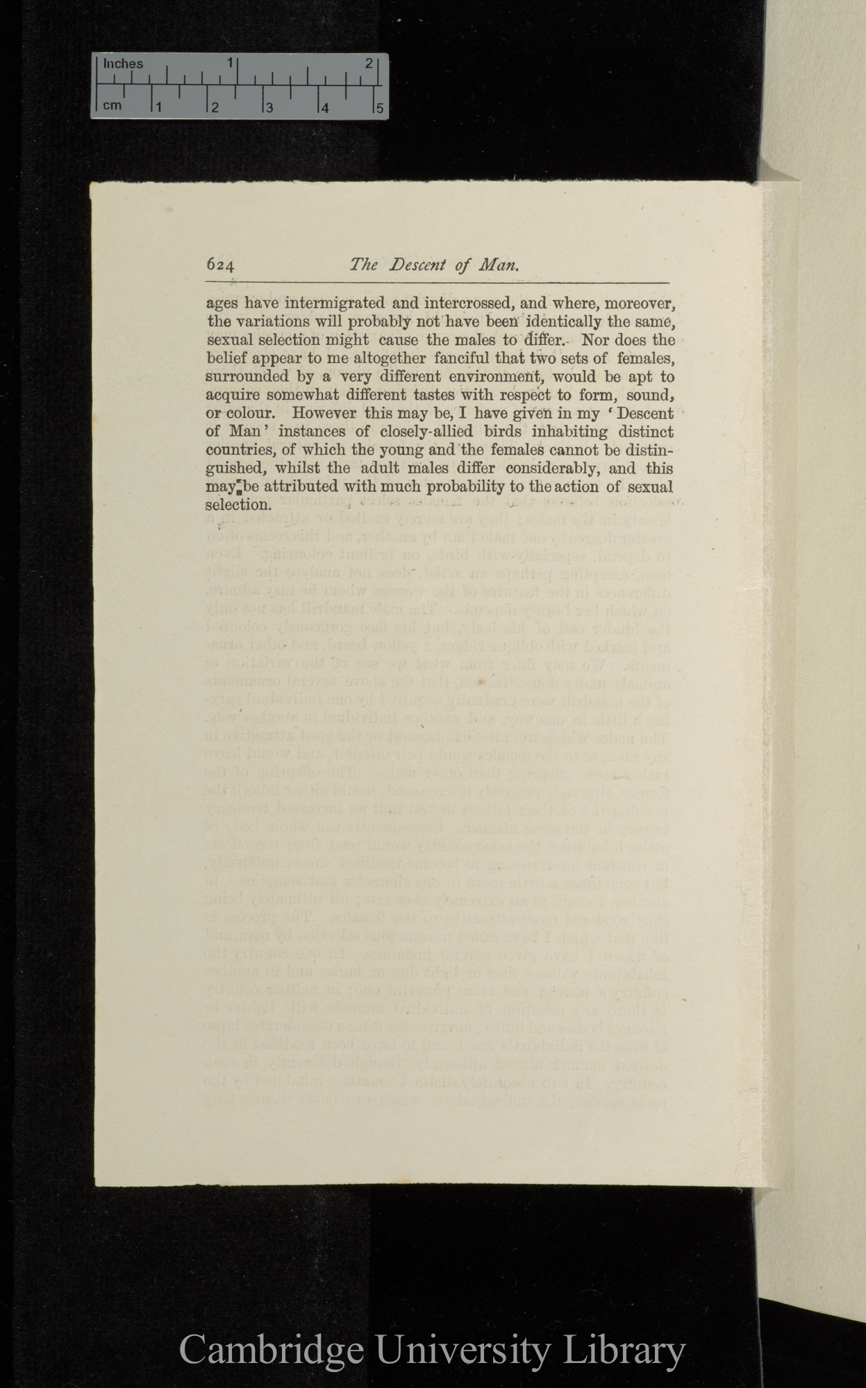 Supplemental note [to &#39;Descent&#39;]: 620-624 [final proofs]