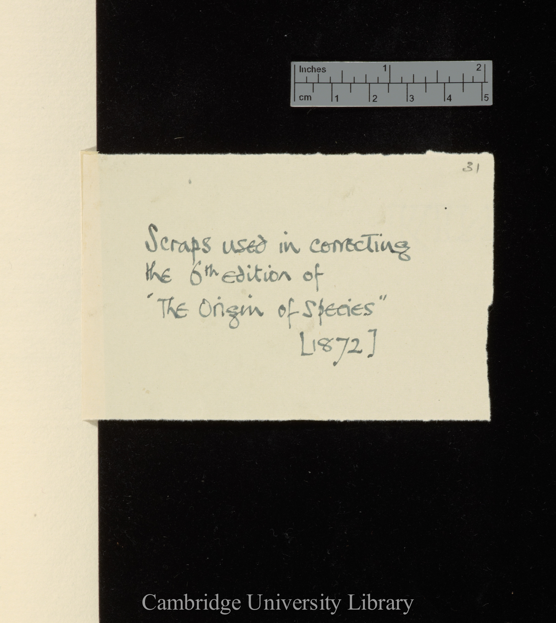 wrapper for items DAR 69: A32- annotated &#39;Scraps used in correcting the 6th edition of &#39;The Origin of Species&#39; [1872]&#39;