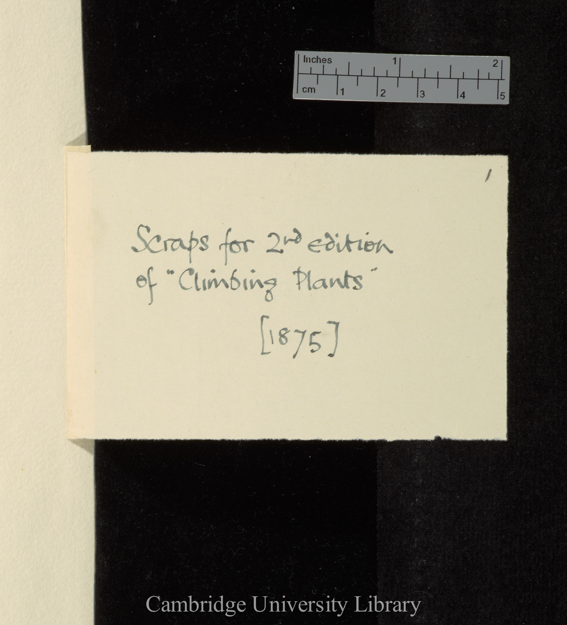 wrapper for items DAR 69: B2- annotated &#39;Scraps for 2nd edition of &#39;Climbing Plants&#39; [1875]&#39;
