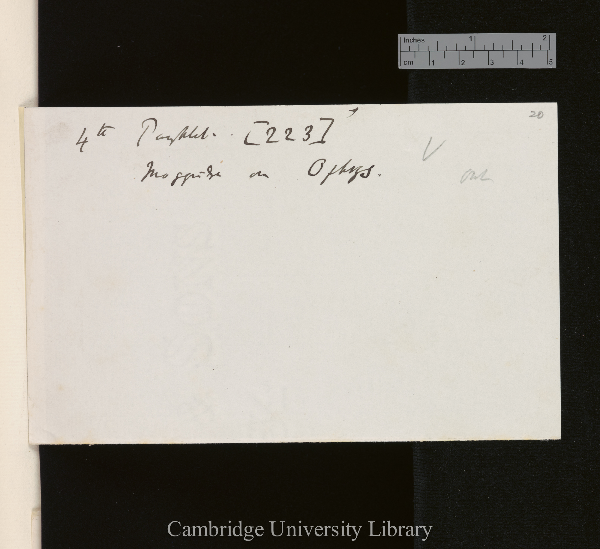4to Pamphlet [223] / Moggridge on Ophrys / V / out