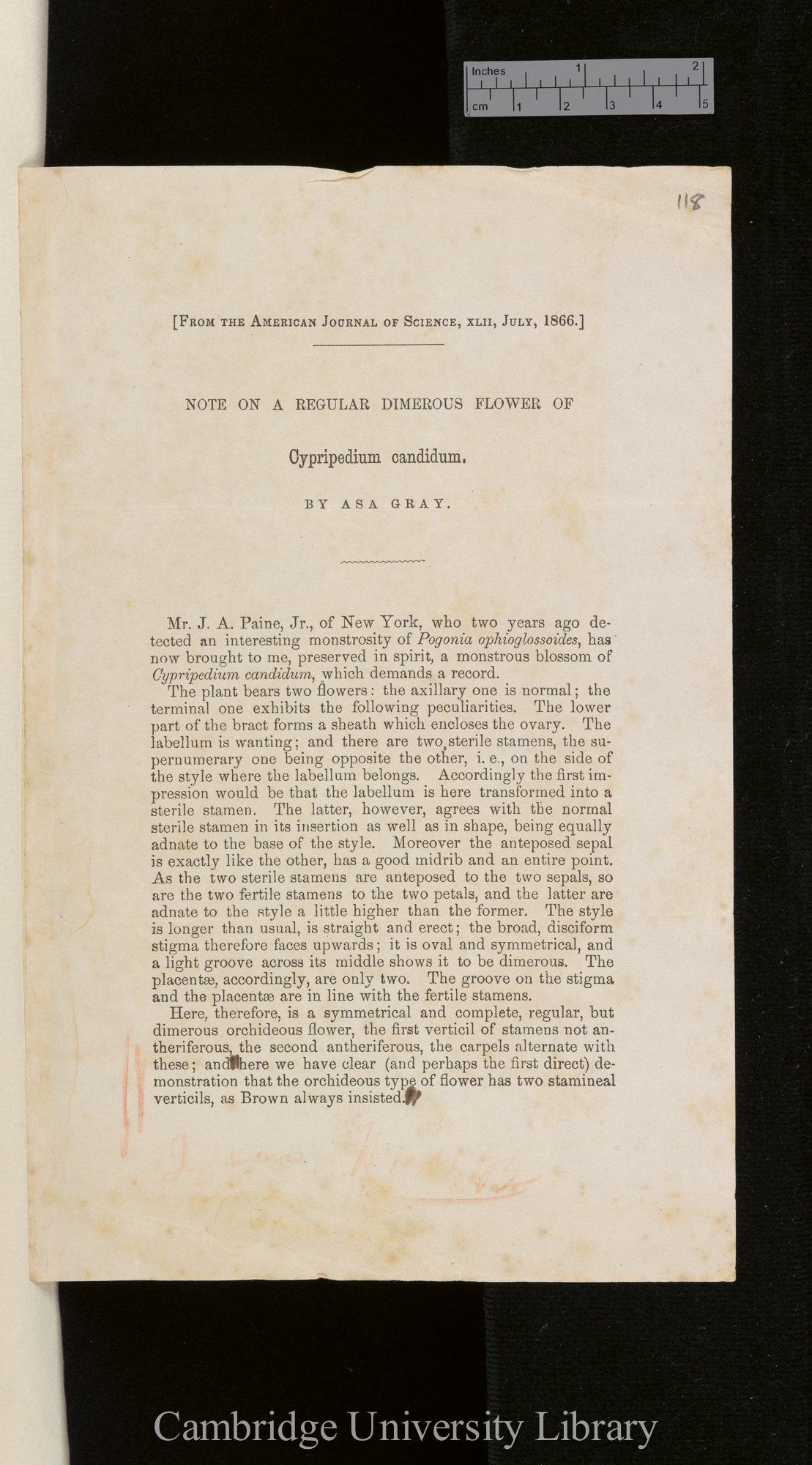 Note on a regular dimerous flower of Cypripedium candidum &#39;American Journal of Science and Arts&#39; 2s 42: 195 [1, unpaginated]