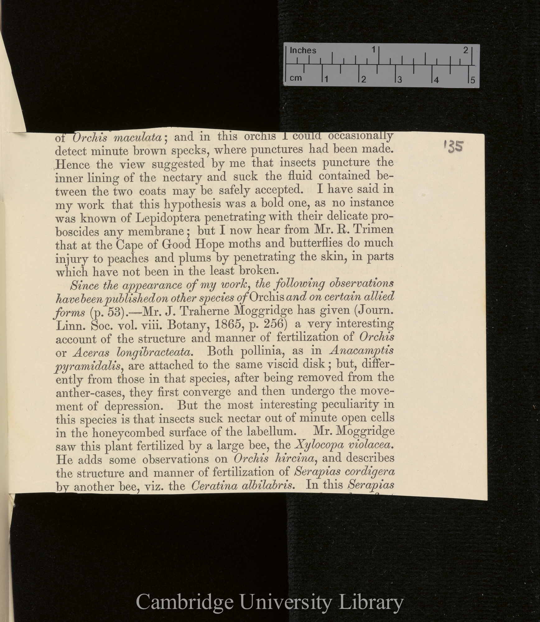 Orchids &#39;Ann Mag Nat Hist&#39; September 1869: [3]