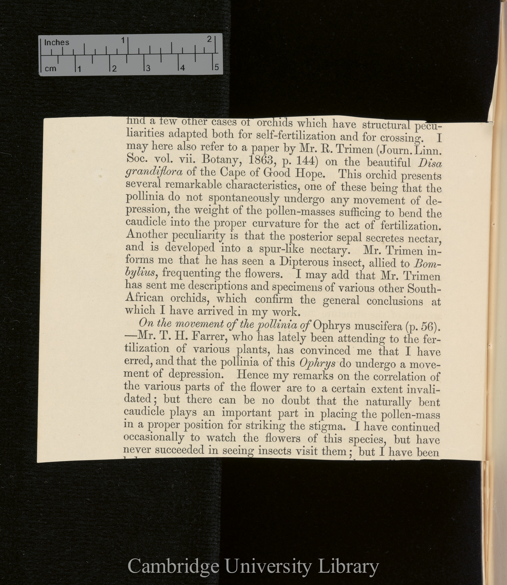 Orchids &#39;Ann Mag Nat Hist&#39; September 1869: [4]