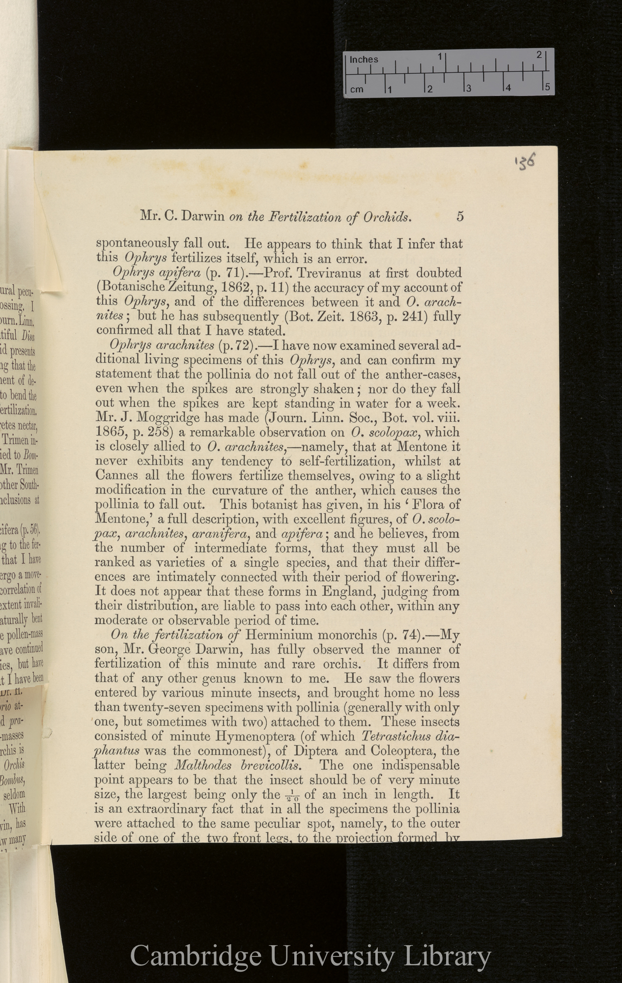 Orchids &#39;Ann Mag Nat Hist&#39; September 1869: [5]