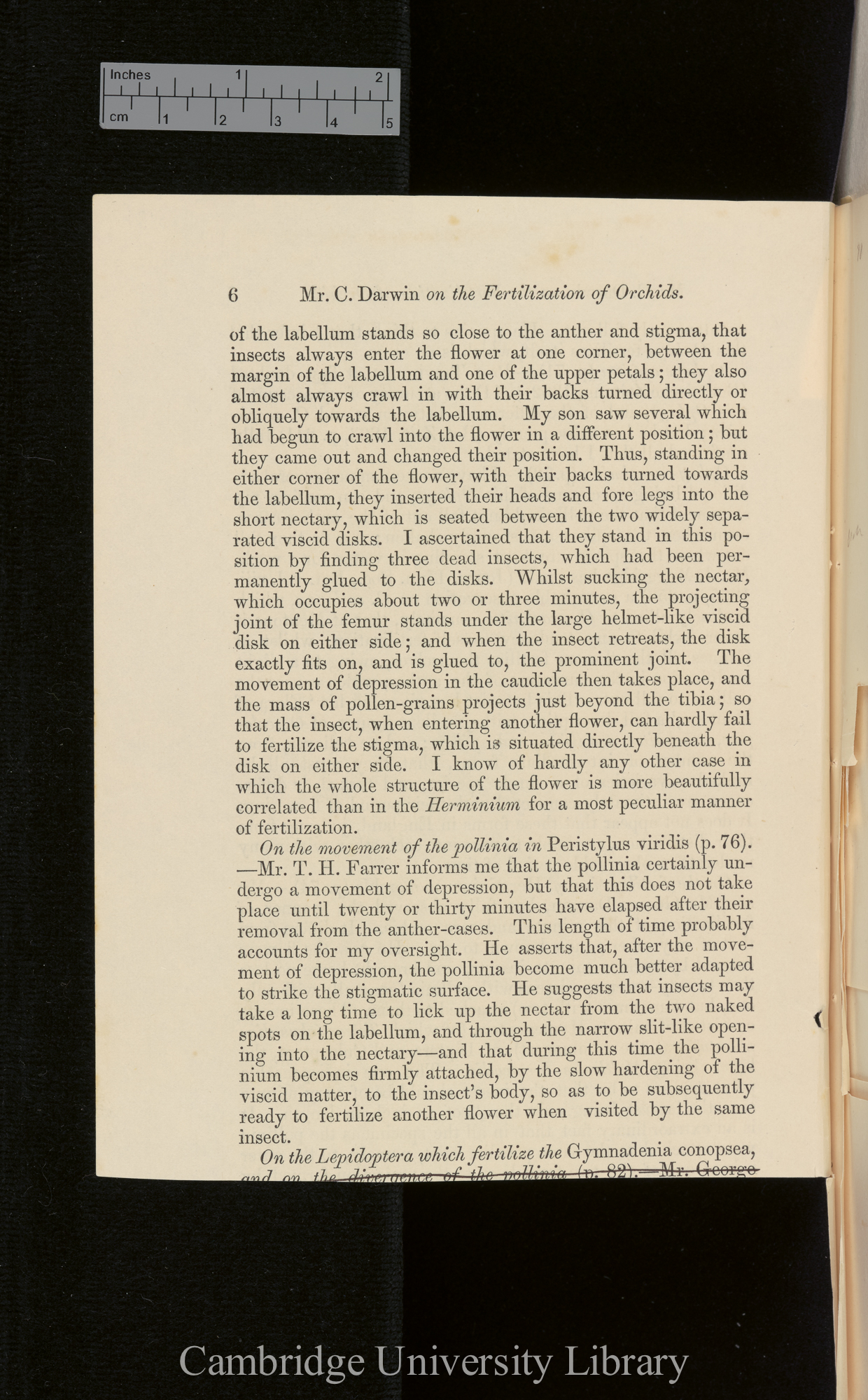 Orchids &#39;Ann Mag Nat Hist&#39; September 1869: [6]