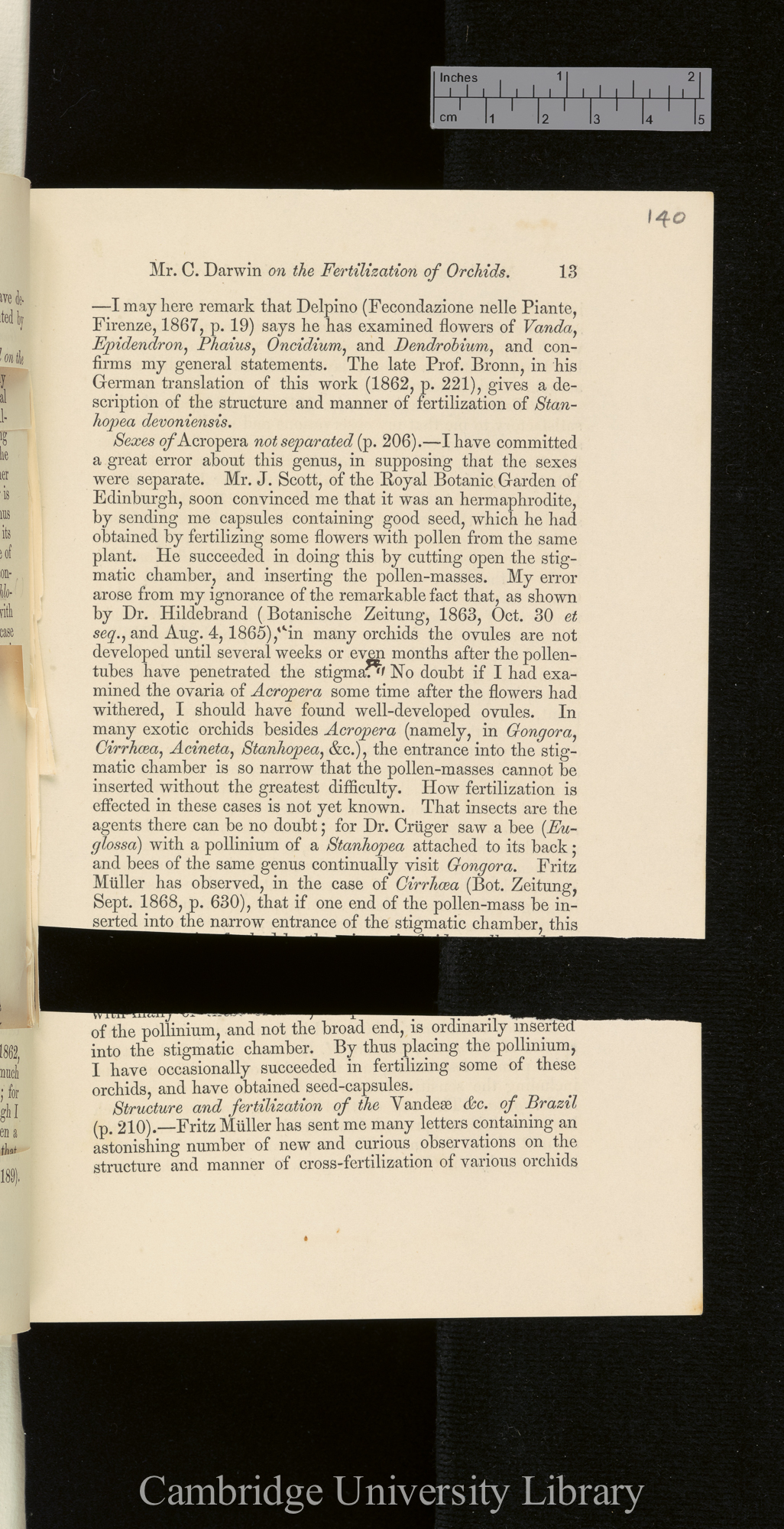 Orchids &#39;Ann Mag Nat Hist&#39; September 1869: [13]