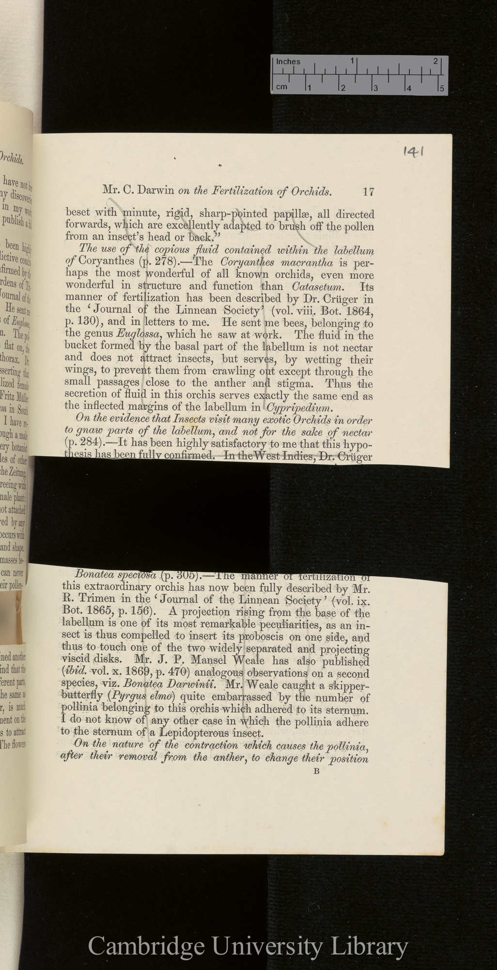 Orchids &#39;Ann Mag Nat Hist&#39; September 1869: [17]