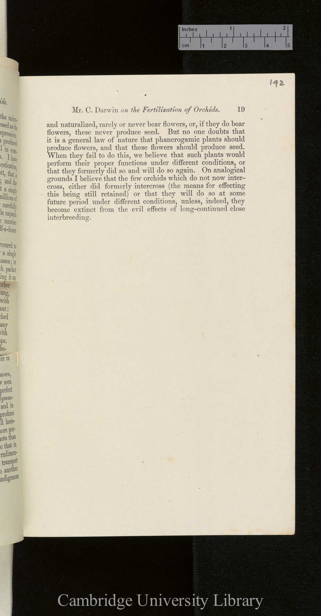 Orchids &#39;Ann Mag Nat Hist&#39; September 1869: [19]