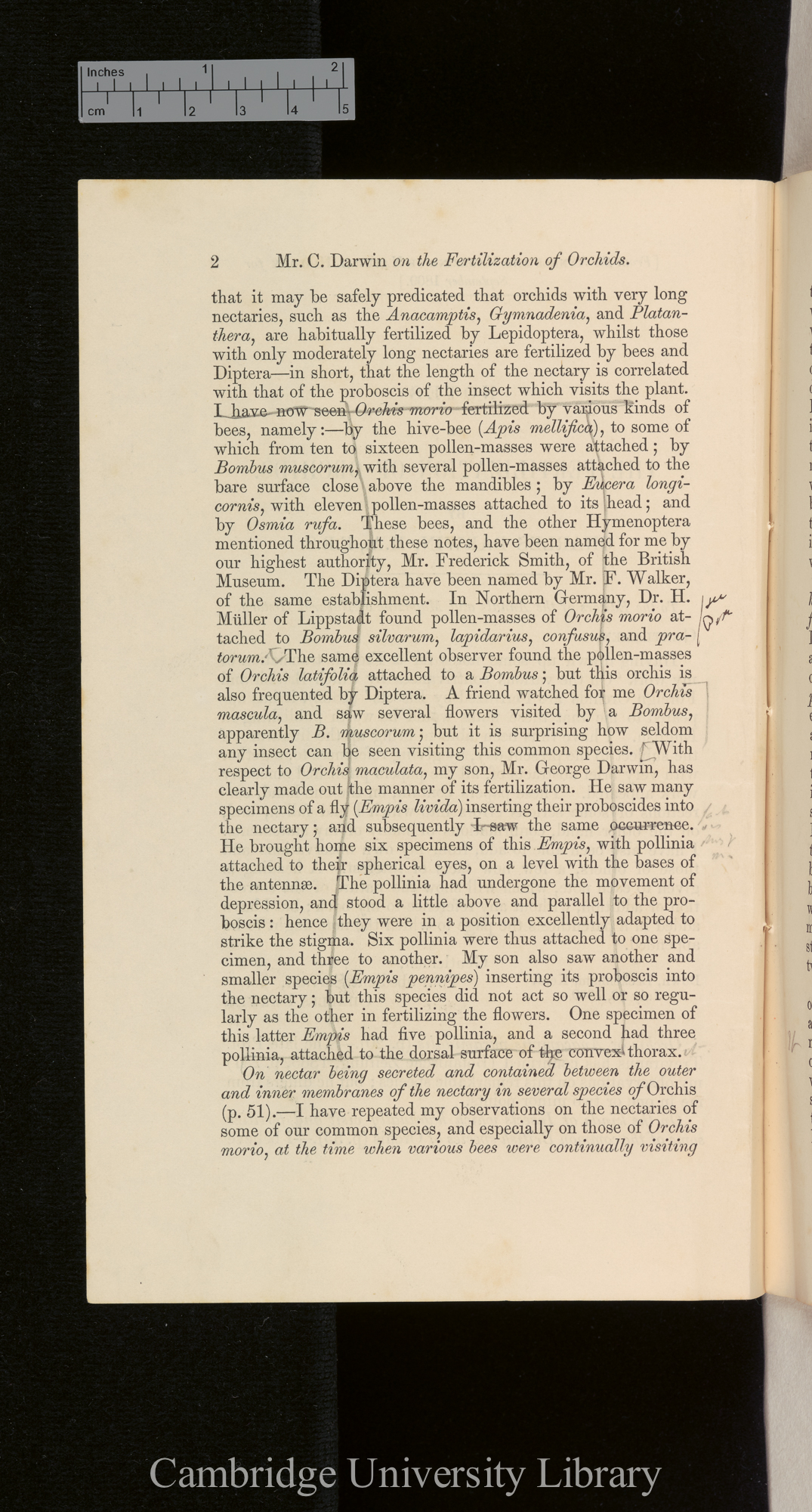 Orchids &#39;Ann Mag Nat Hist&#39; September 1869: [2]