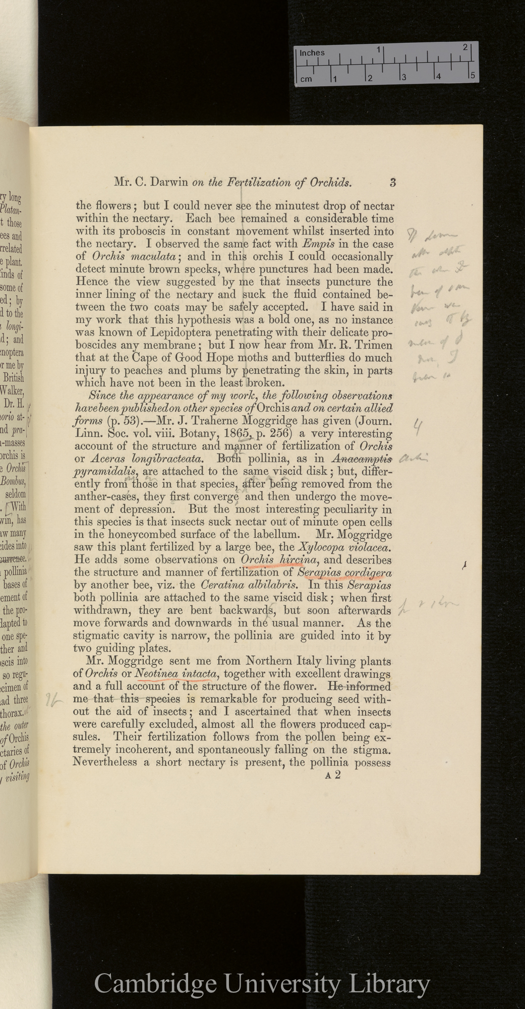 Orchids &#39;Ann Mag Nat Hist&#39; September 1869: [3]