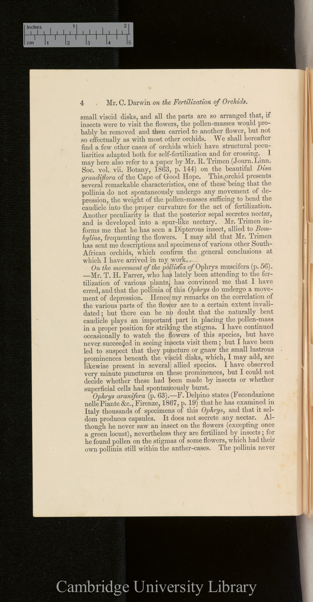 Orchids &#39;Ann Mag Nat Hist&#39; September 1869: [4]