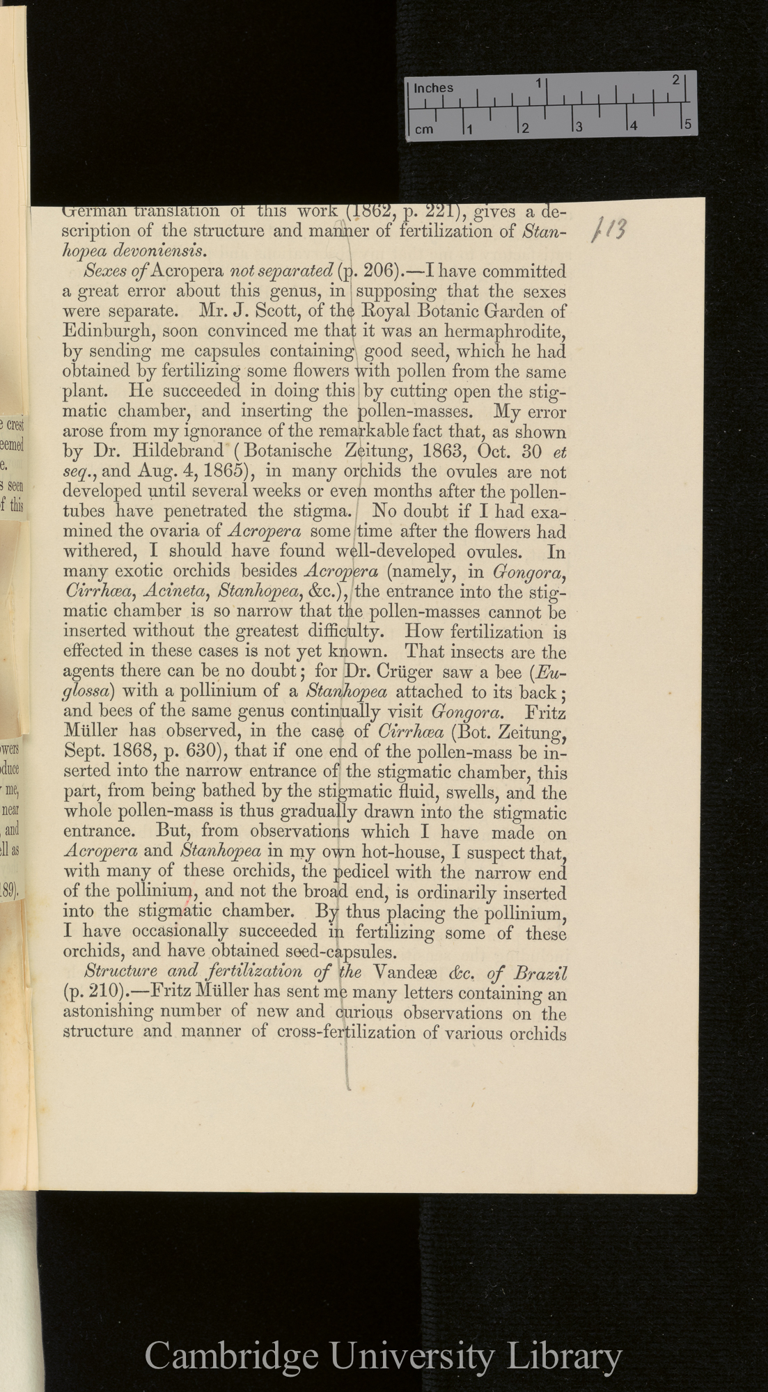 Orchids &#39;Ann Mag Nat Hist&#39; September 1869: [13]