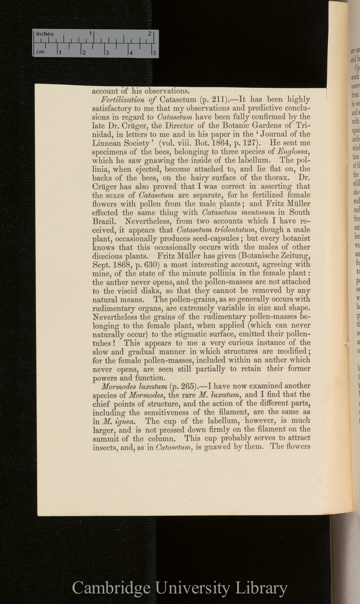 Orchids &#39;Ann Mag Nat Hist&#39; September 1869: [14]