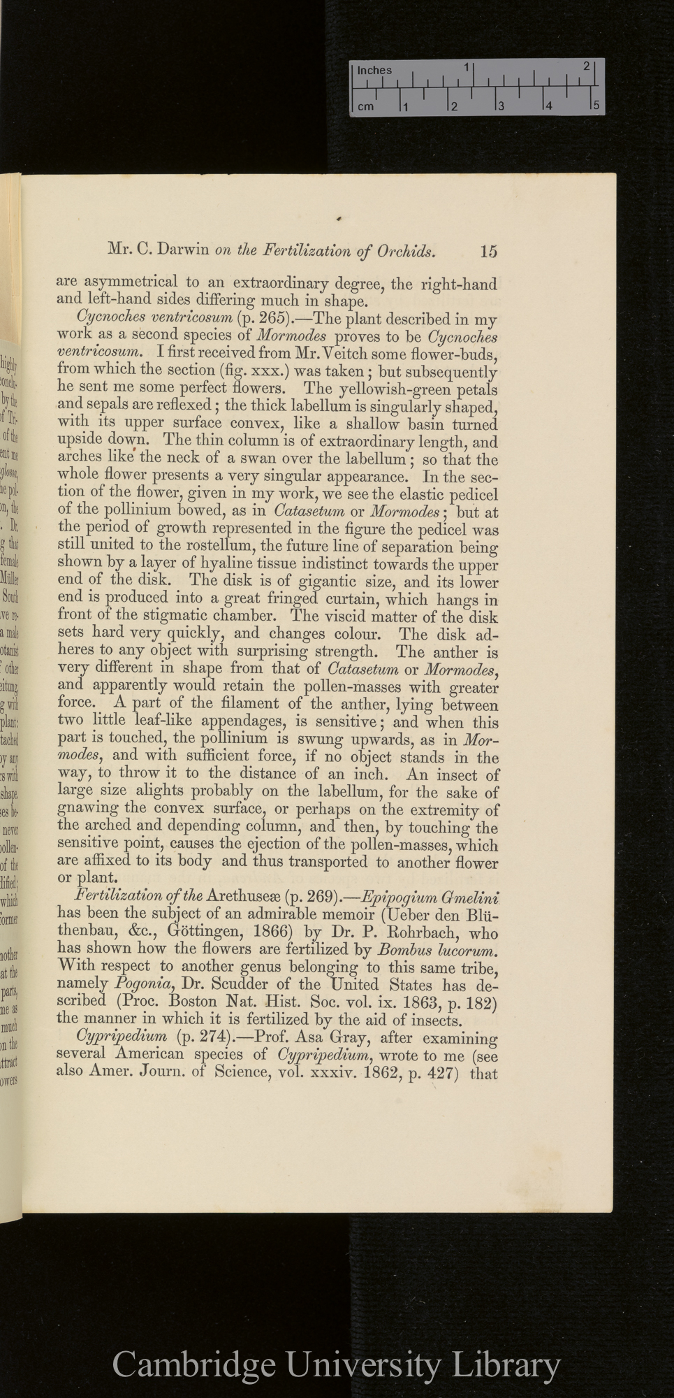 Orchids &#39;Ann Mag Nat Hist&#39; September 1869: [15]