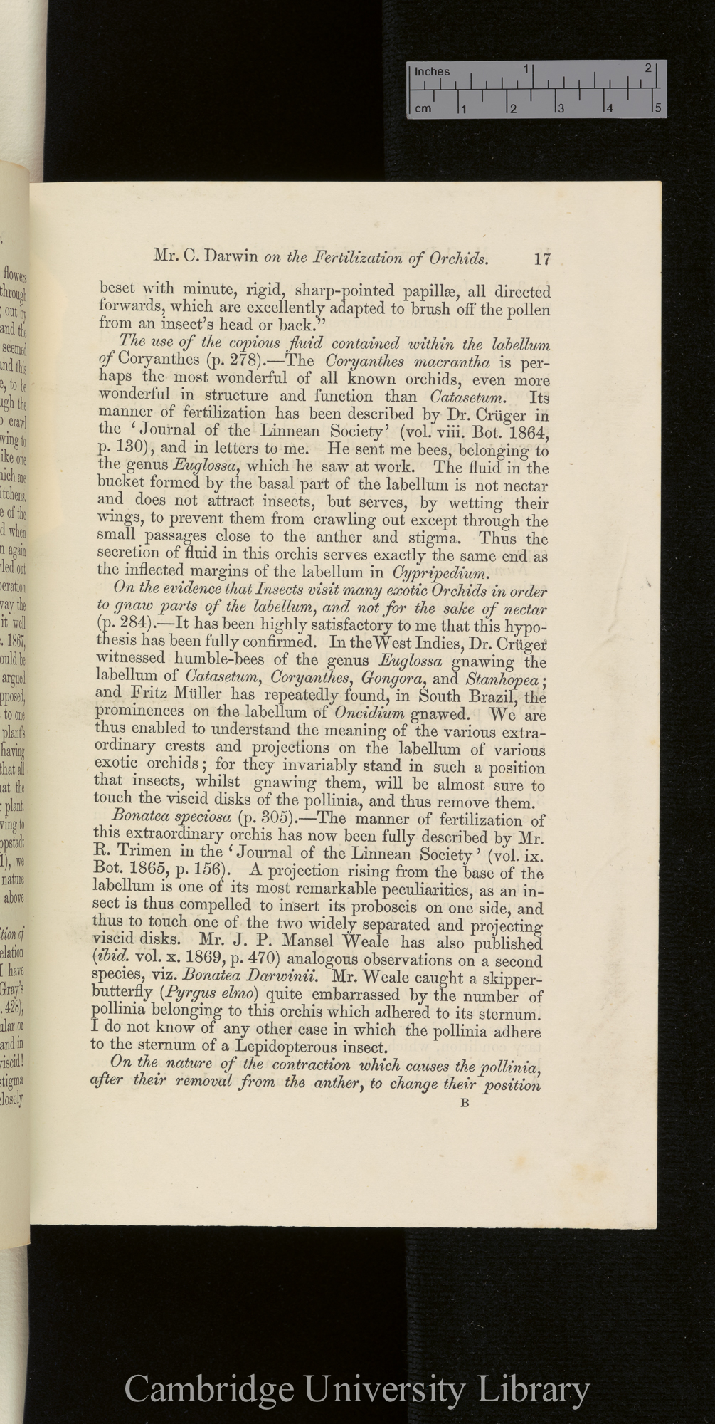 Orchids &#39;Ann Mag Nat Hist&#39; September 1869: [17]