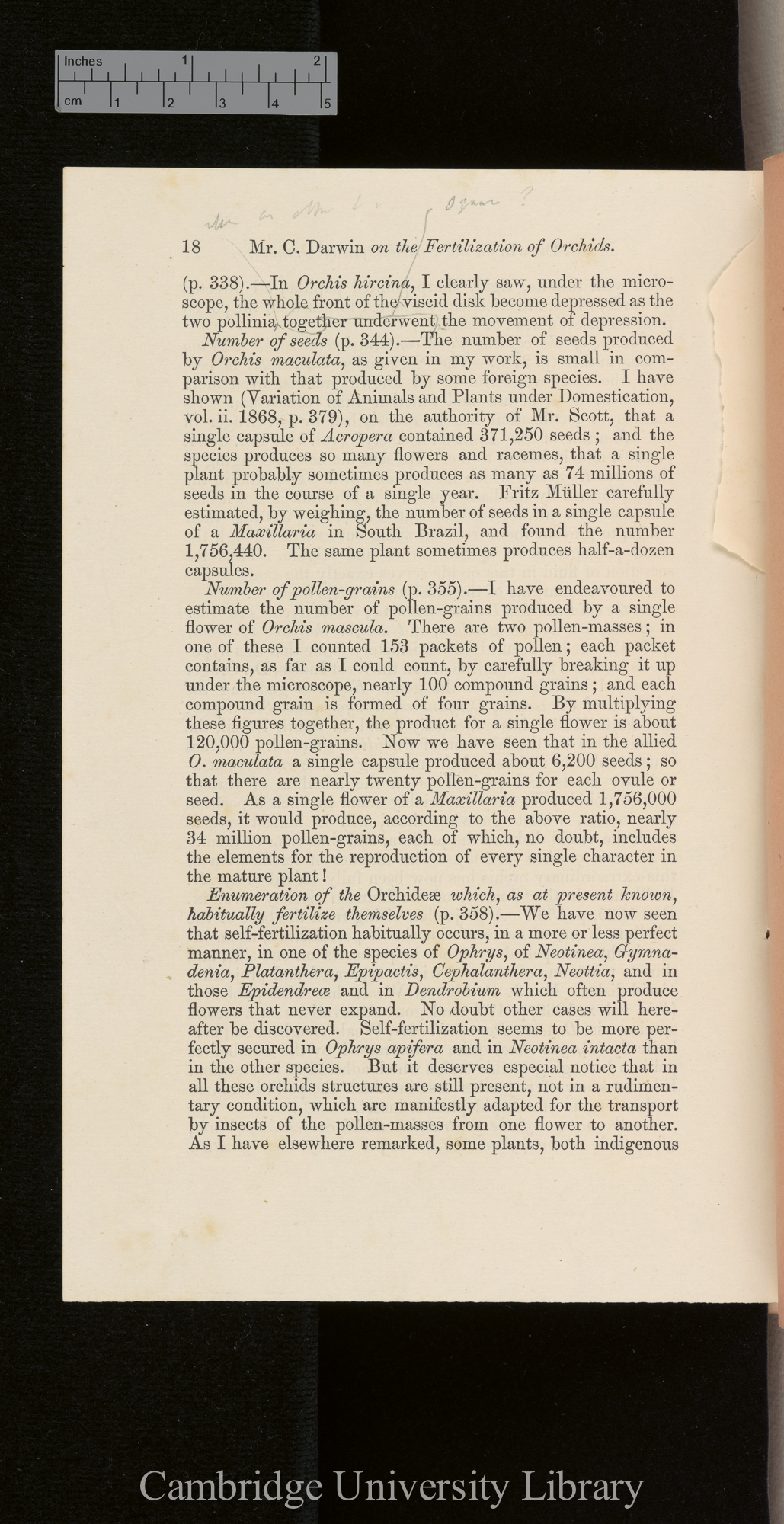 Orchids &#39;Ann Mag Nat Hist&#39; September 1869: [18]