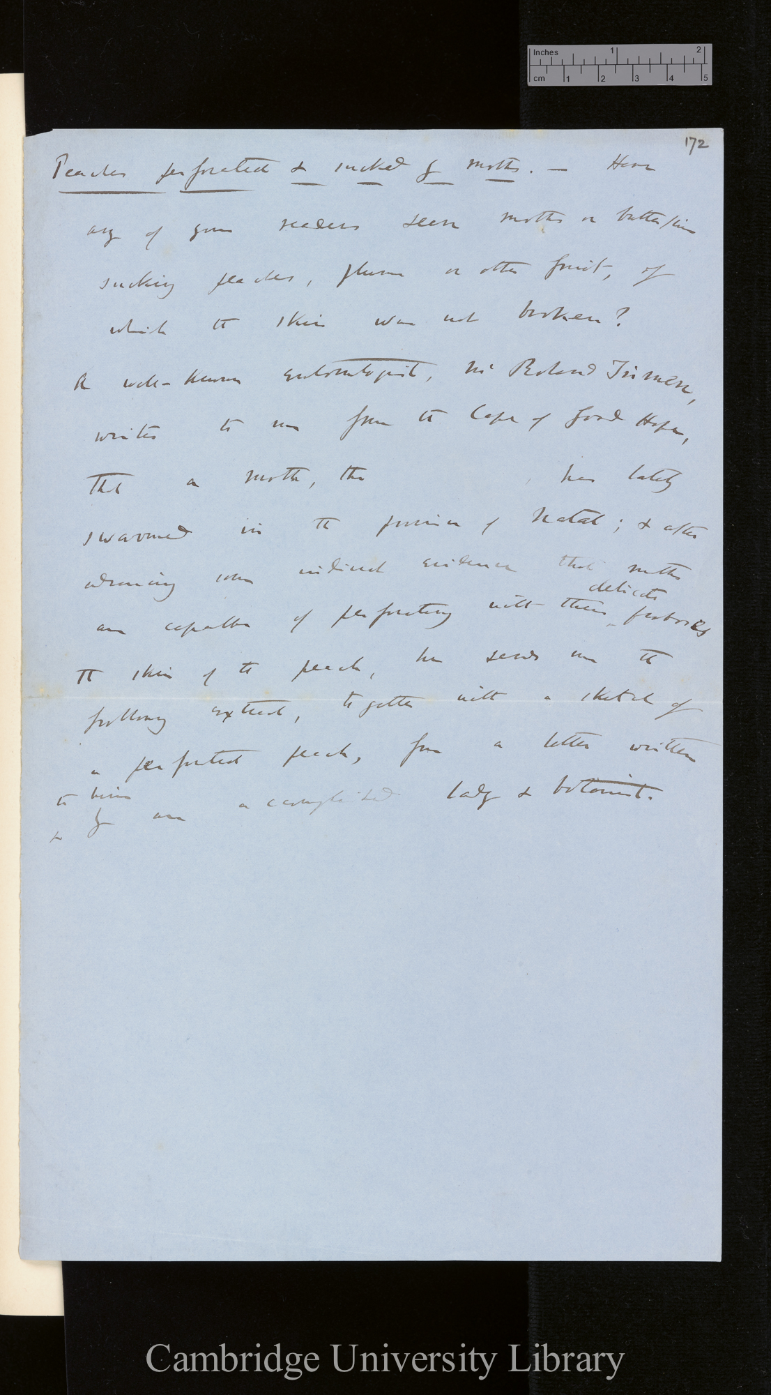 of letter [to &#39;Gardeners&#39; Chronicle&#39;] Peaches perforated &amp; sucked by moths / Have any of your readers seen moths