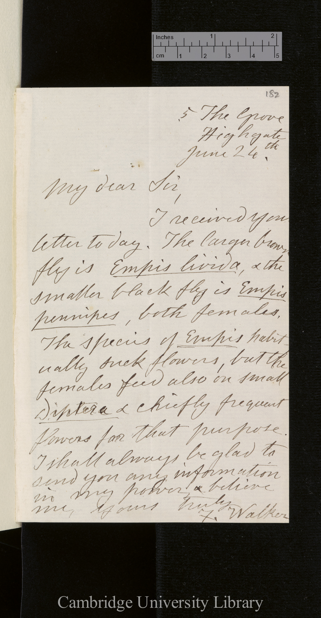 Letter from Francis Walker to Charles Robert Darwin; written at Highgate