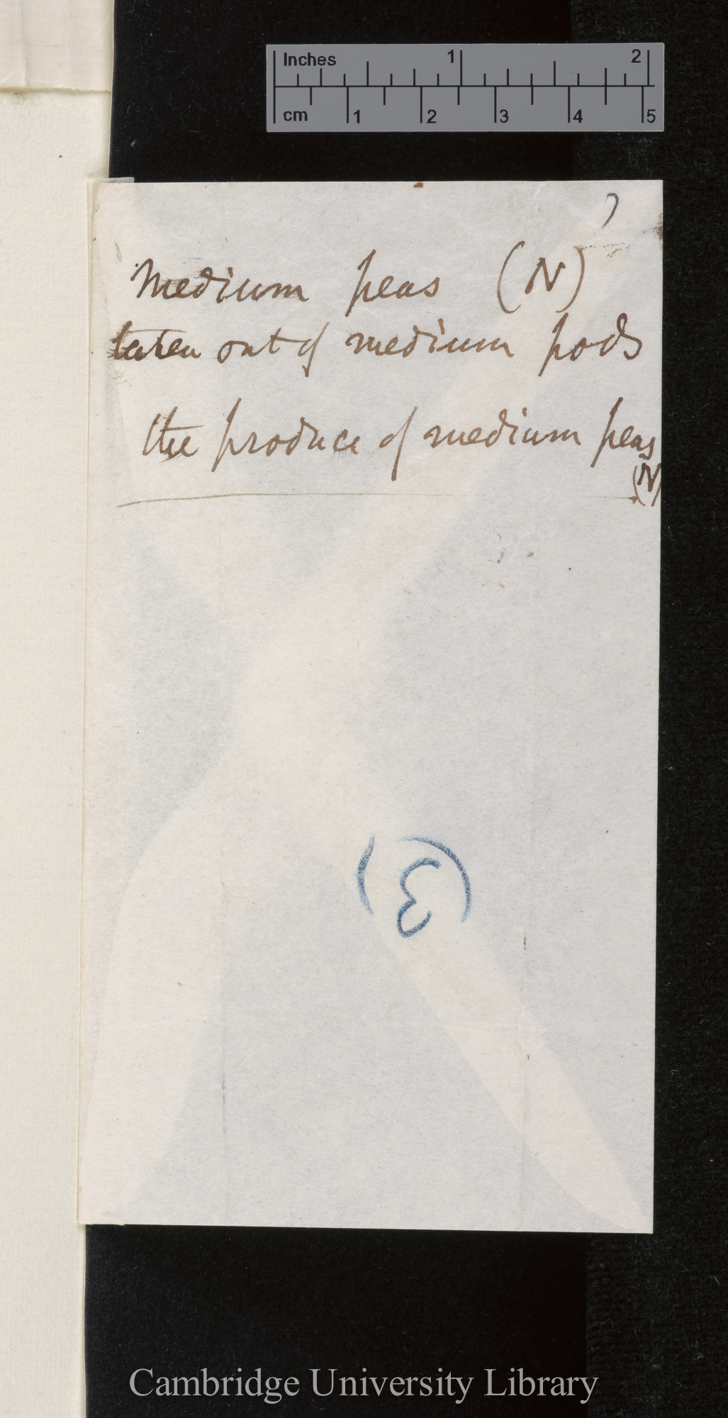 Francis Galton to Charles Robert Darwin