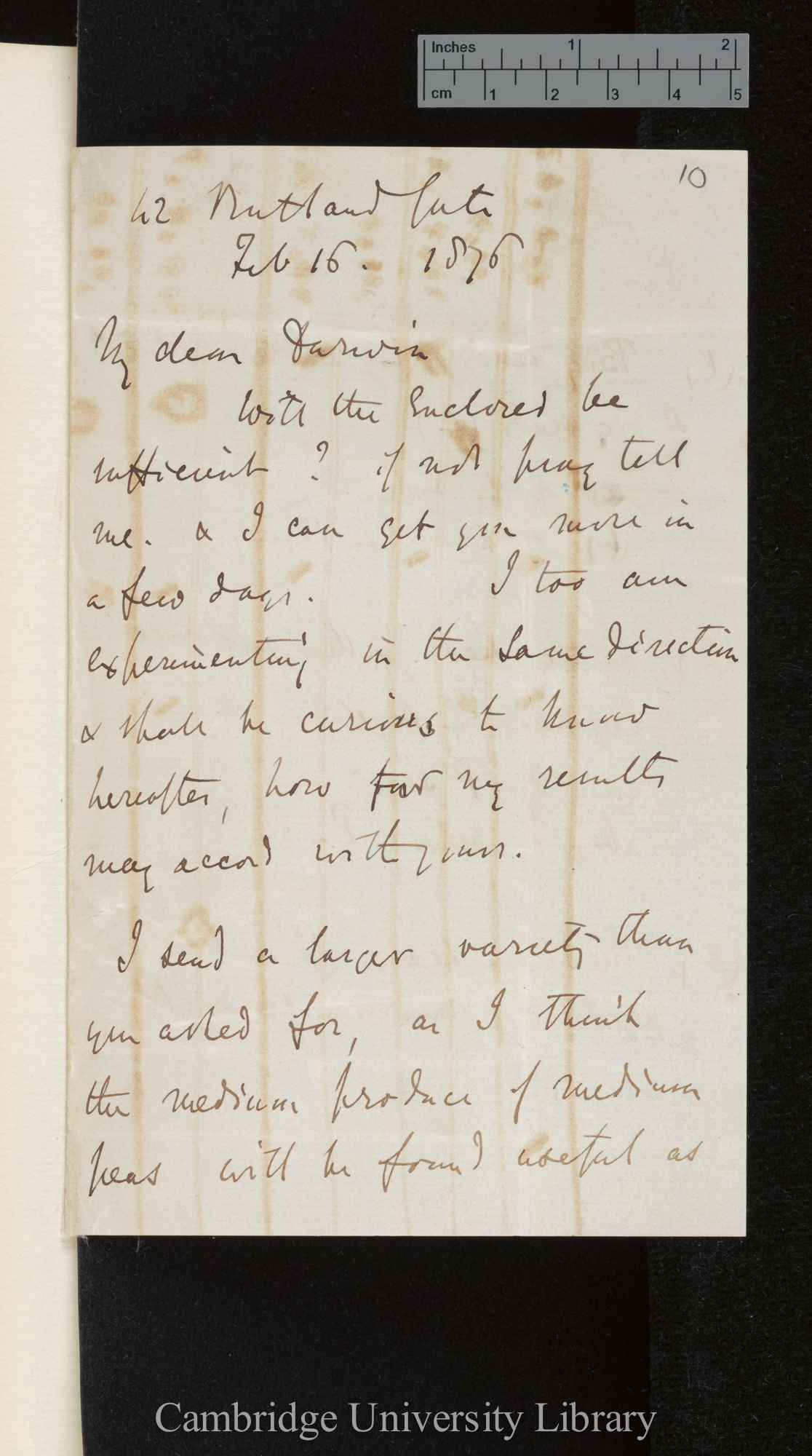 Francis Galton to Charles Robert Darwin