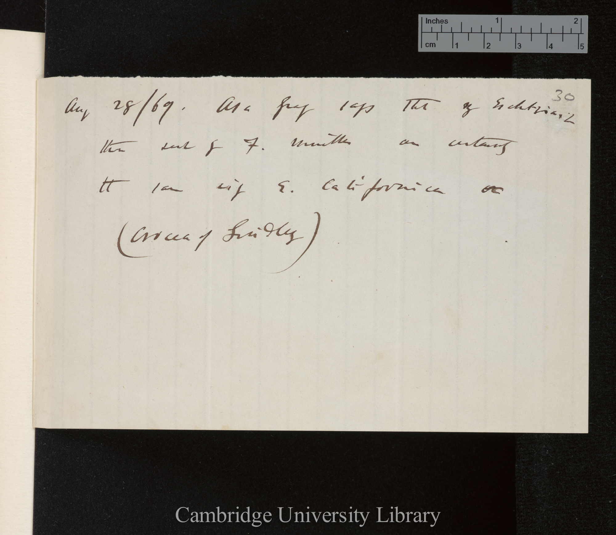 Asa Gray says that my Esch[sch]o[l]tzia &amp; those sent by F Muller are certainly the same viz E Californica or (Crocea of Lindley)