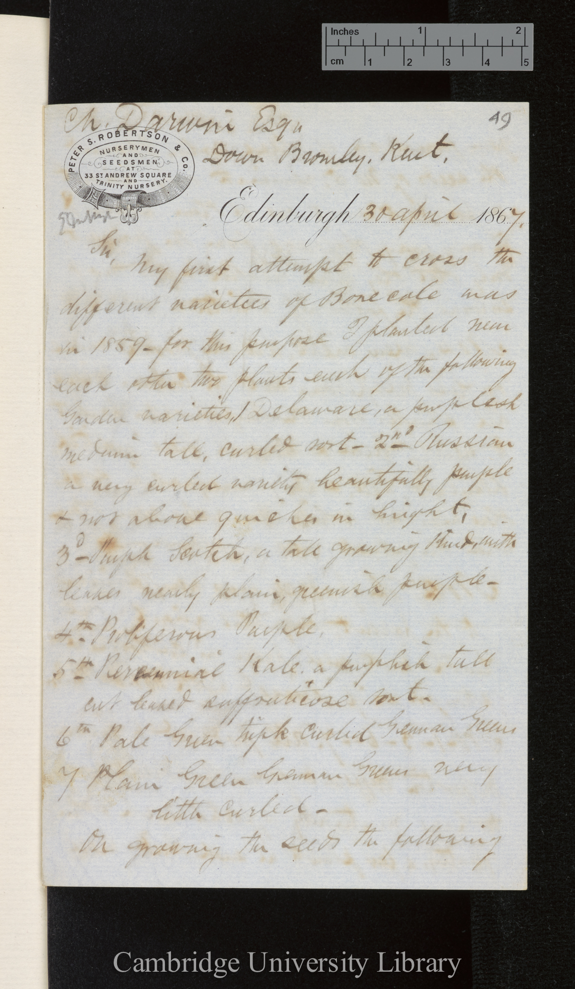 Peter Robertson to Charles Robert Darwin