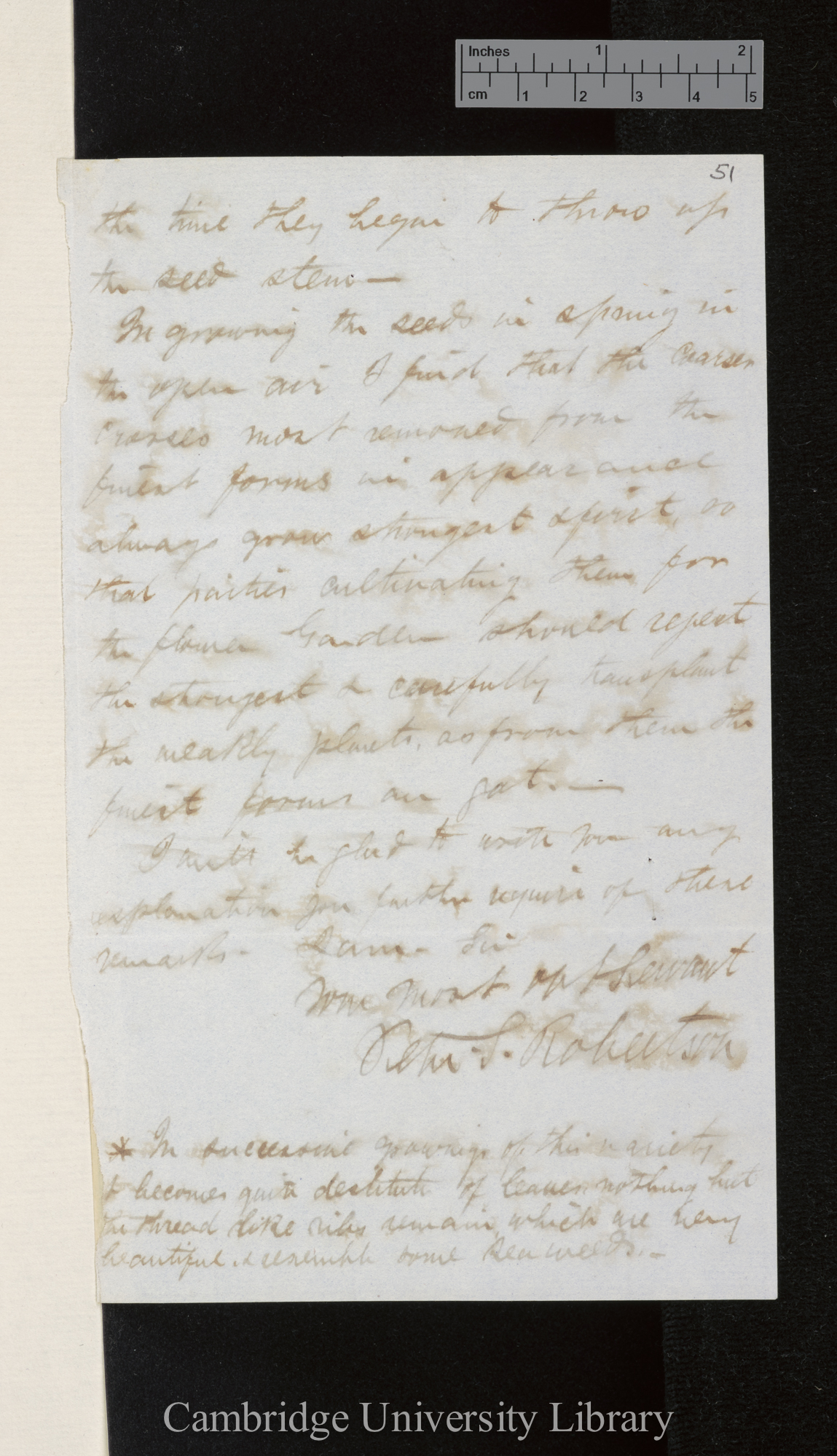 Peter Robertson to Charles Robert Darwin