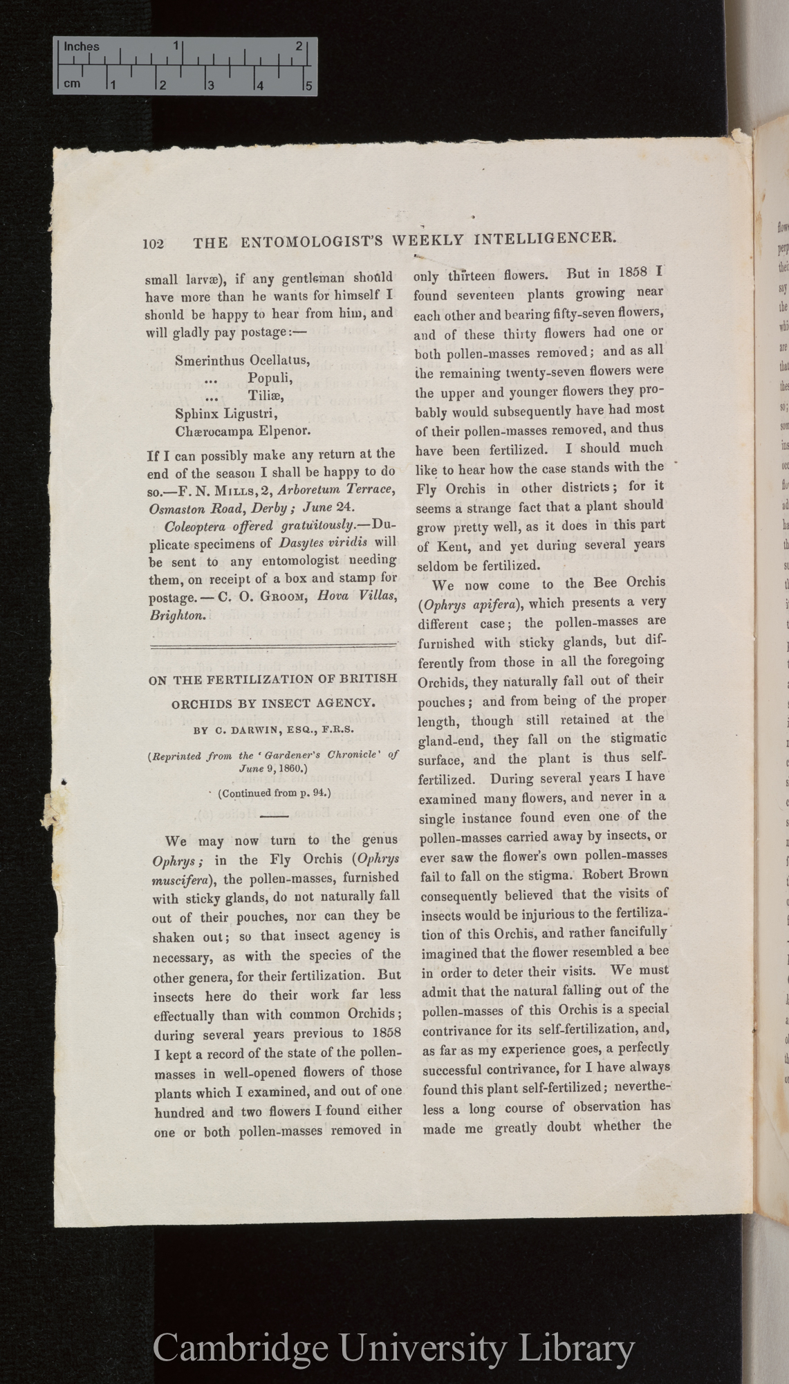 On the fertilisation of British orchids by insect agency (reprinted from Gardeners&#39; Chronicle of 9 June 1860) &#39;Entomologist&#39;s Weekly Intelligencer&#39;: 102