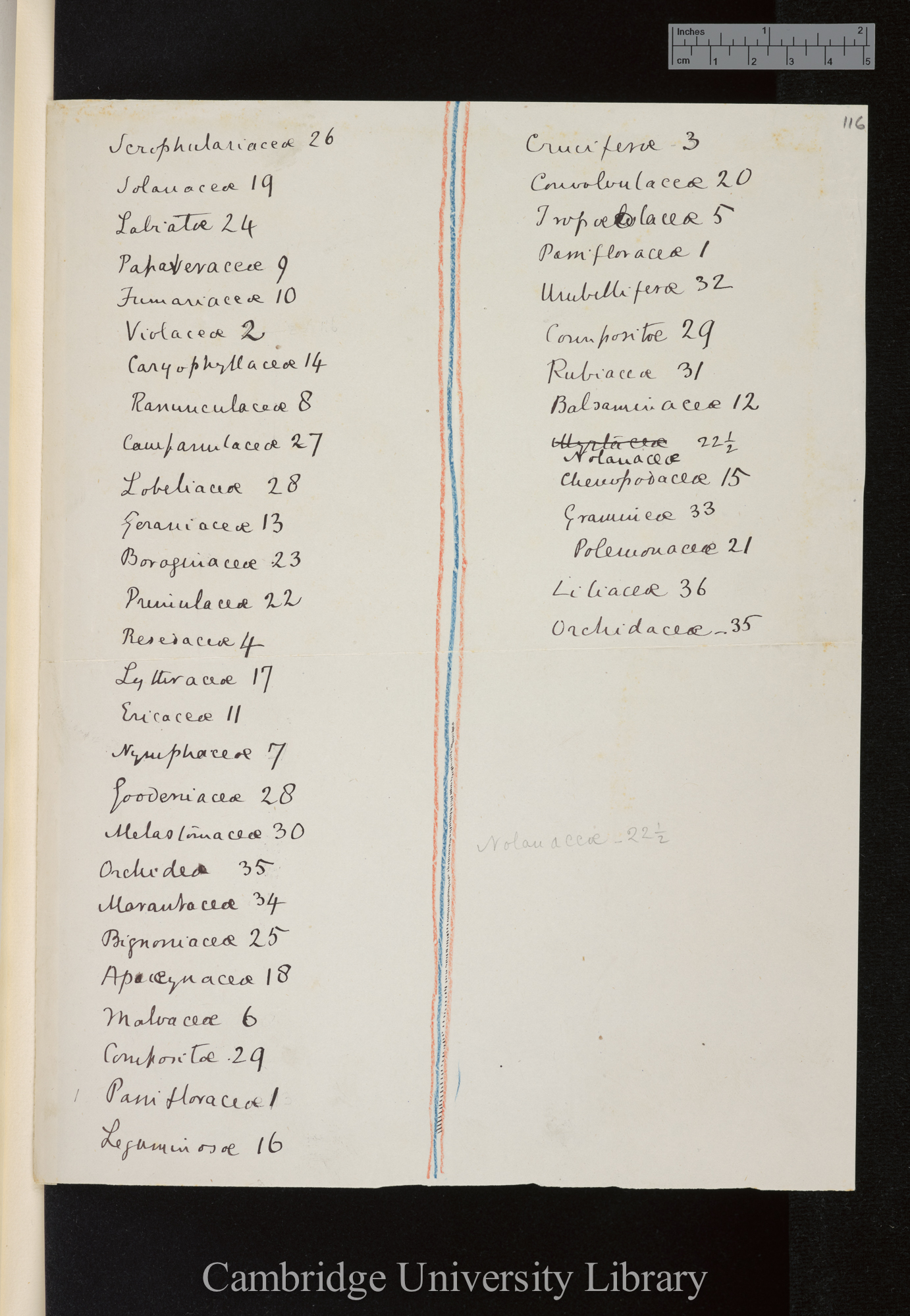 [list of plant families [spontaneously self-fertile?]]