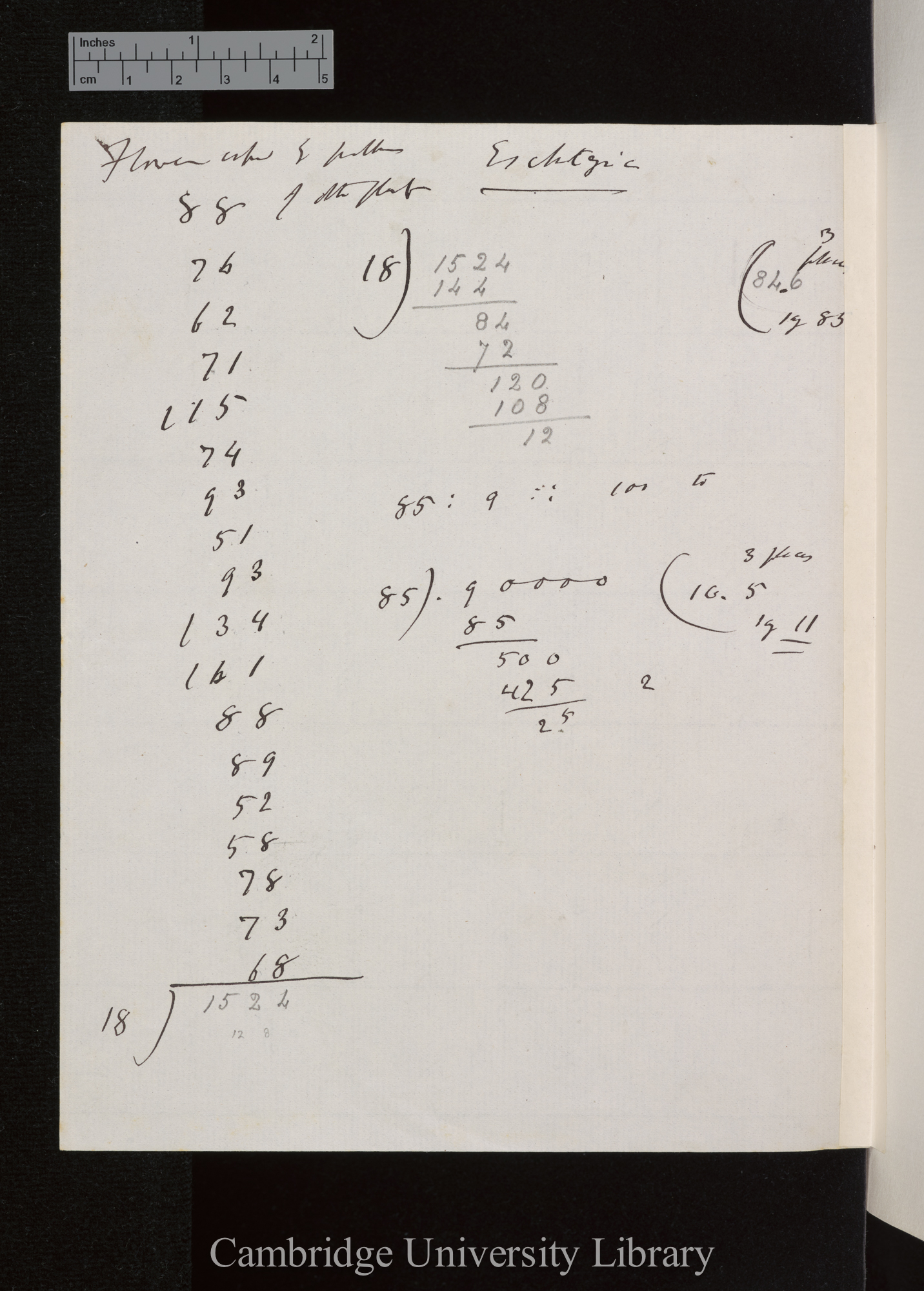 Esch[sch]oltzia / Hildebrand / Fumariaceae [table of numbers of seeds]